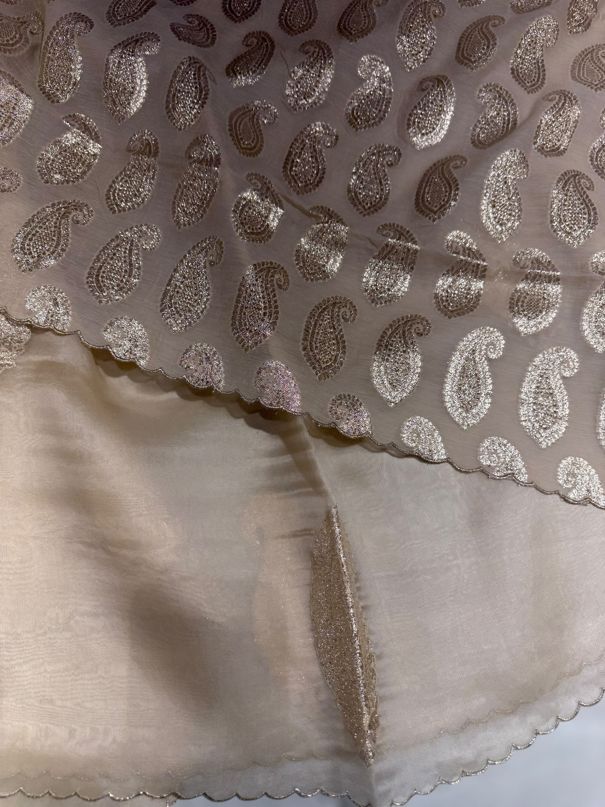 Beige Organza with applique motifs