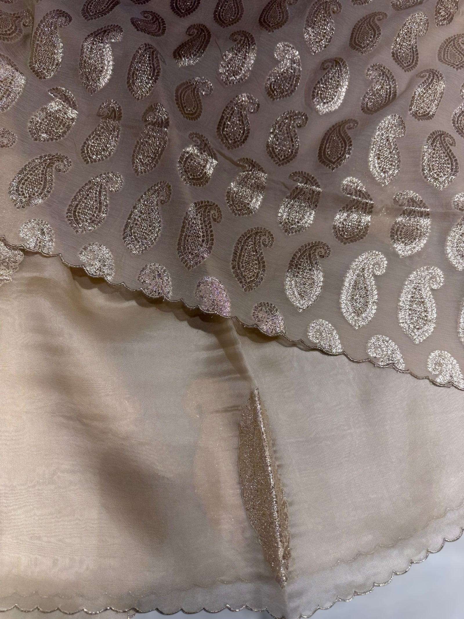 Beige Organza with applique motifs