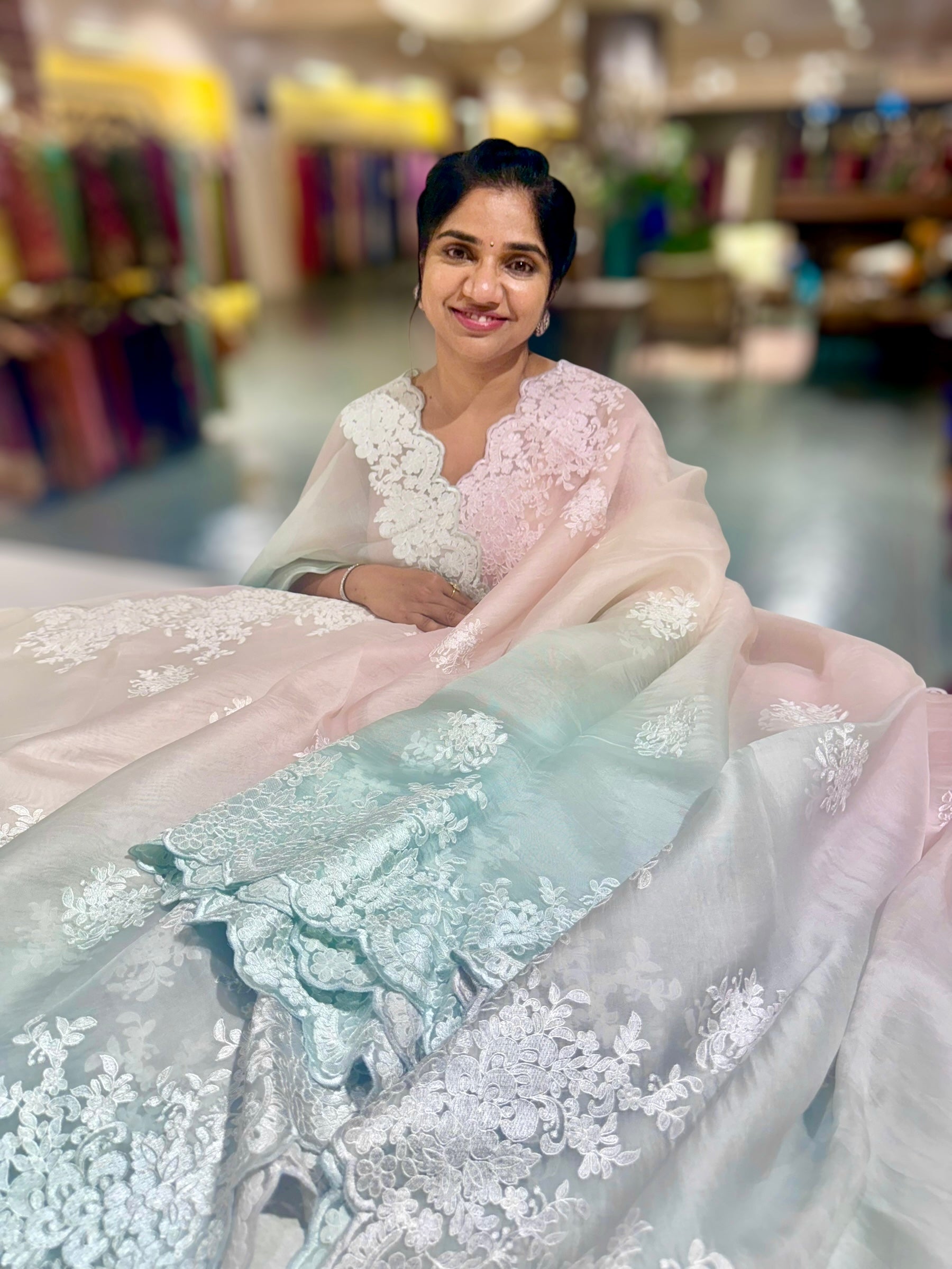 Pure Organza  Ombre Dyed Saree With allover Embroidery