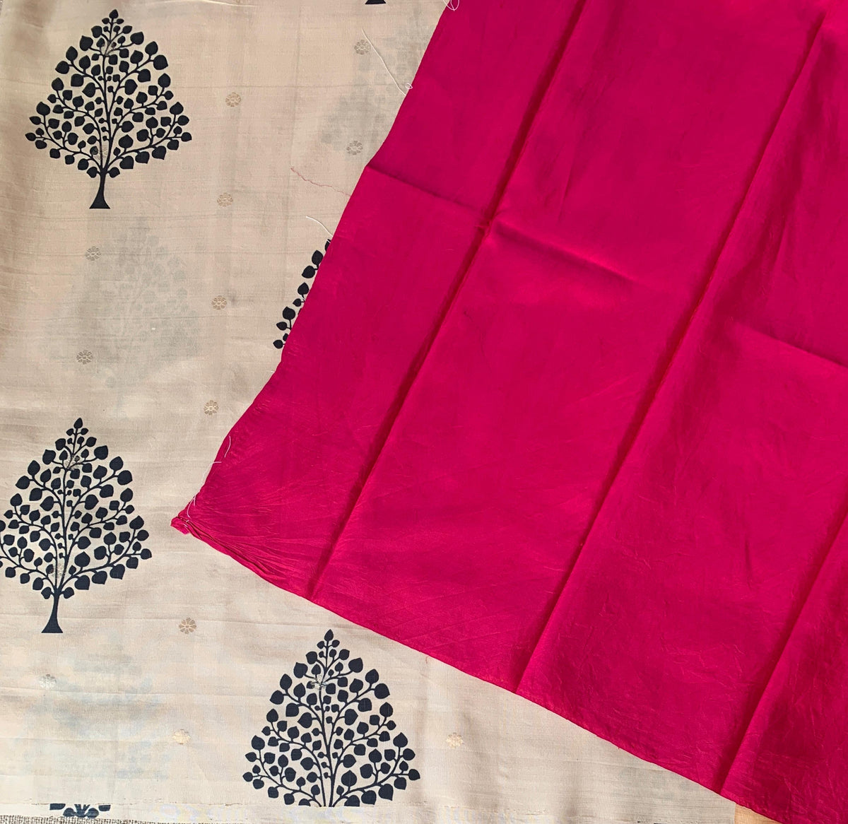 Beige Border less Designer printed kanchi silk saree with double color pallu