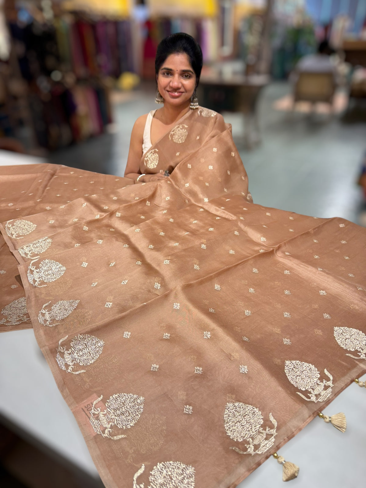 Nude Brown Organza Saree With Embroidery & Tussar Printed Blouse
