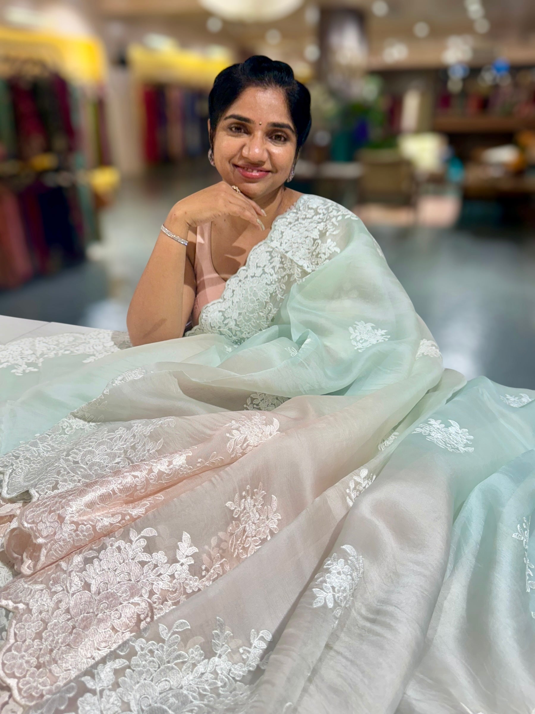 Pure Organza  Ombre Dyed Saree With allover Embroidery