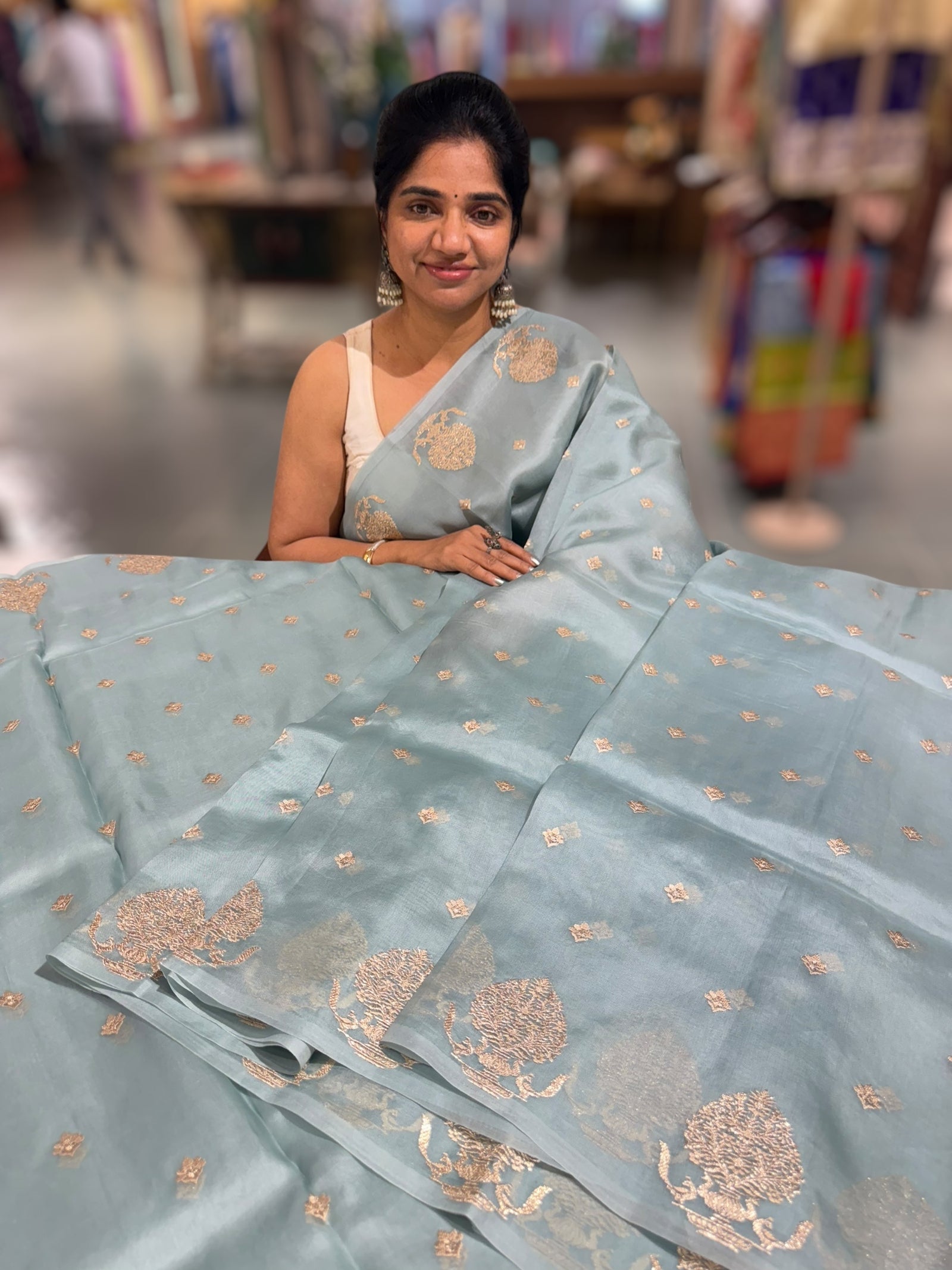 Powder Blue Organza Saree With Embroidered Motifs & Tussar Printed Blouse