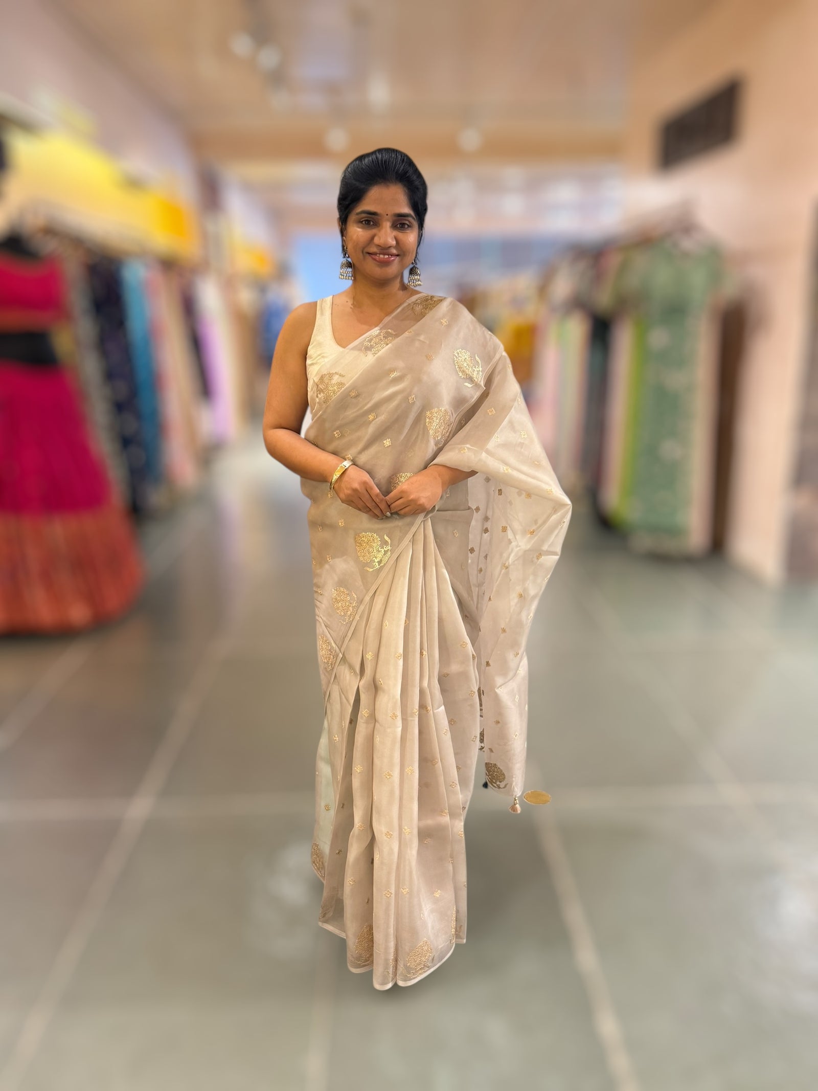 Silverish Tone Pure Organza Saree With Embroidered Motifs & Tussar Printed Blouse