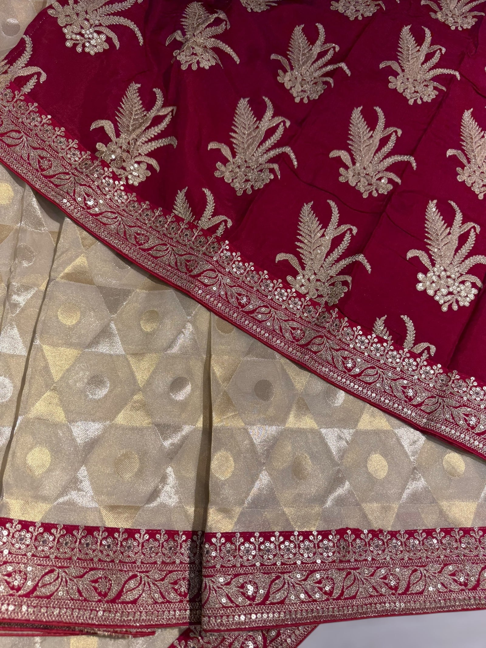 Beige Tissue Saree with Sabhyasachi borders