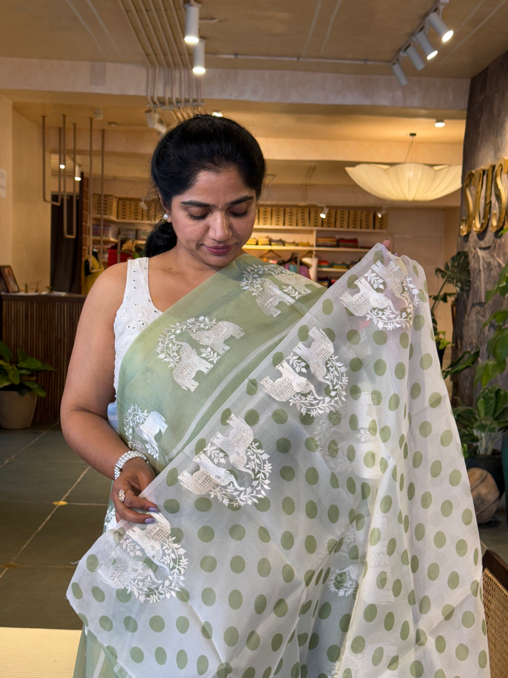 DOEA2704 Sage Green Shaded Pure Organza  Saree with Embroidery