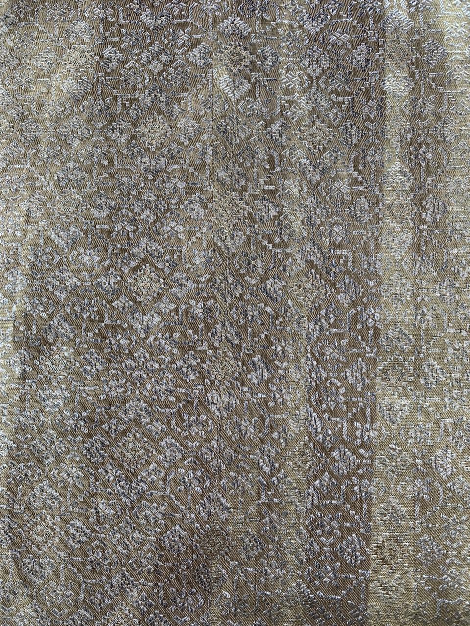 Pure Kanchi Tissue Brocade Saree with Petite Point Embroidery