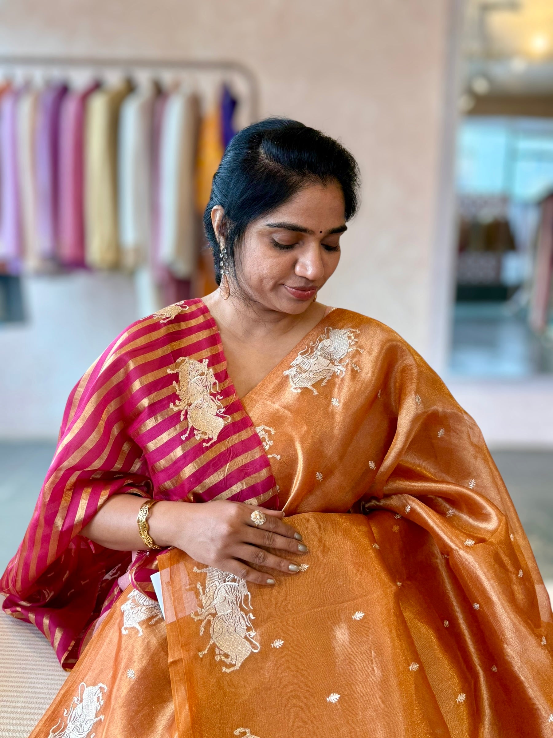 Orange Handloom Tissue Saree with Nandi Embroidered Border & Stripes Tissue BP