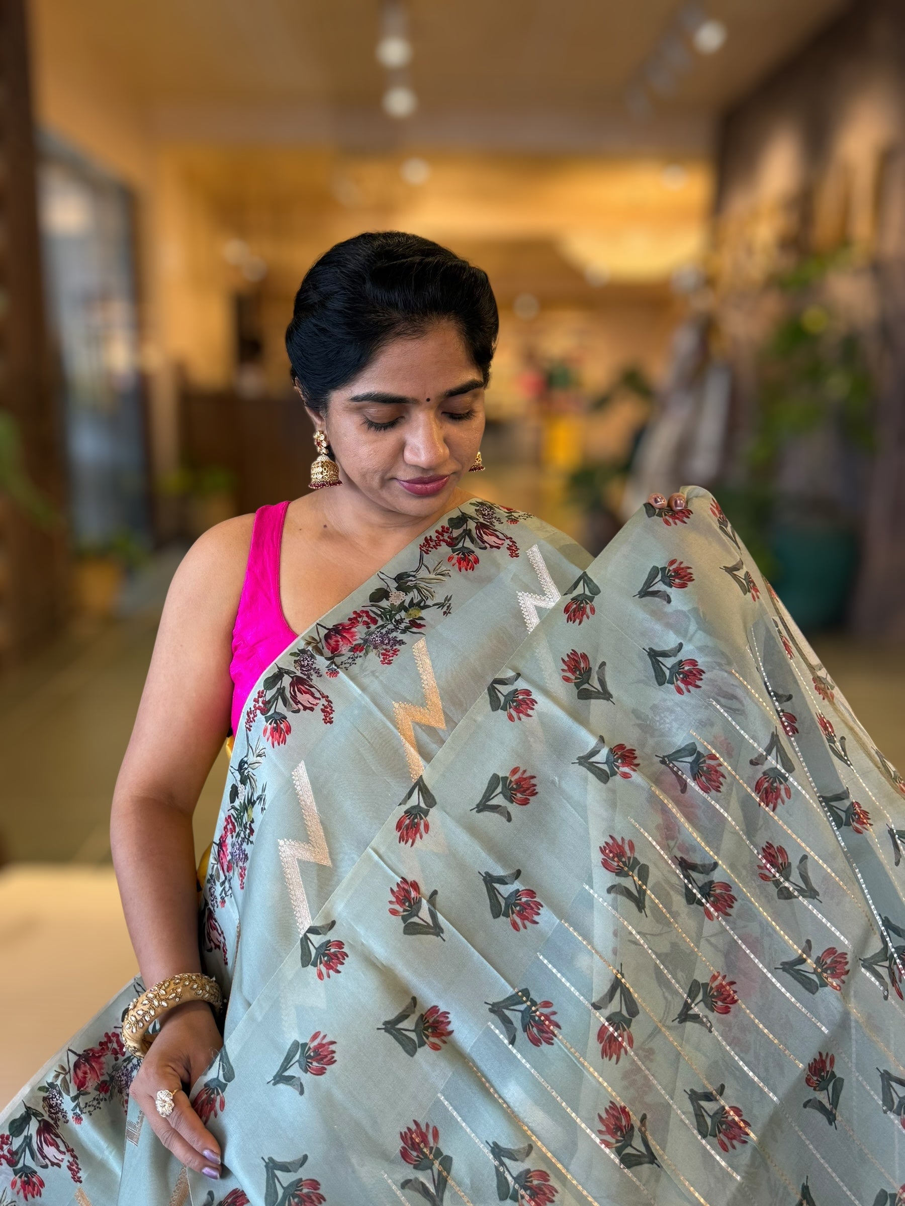 Greyish Blue Designer Premium Handloom Kora Banarasi with Printed Borders