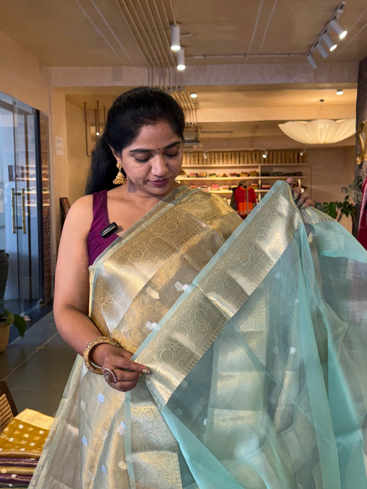 WDTSH : SeaGreen Banarasi Tissue Saree with Gold based Tissue