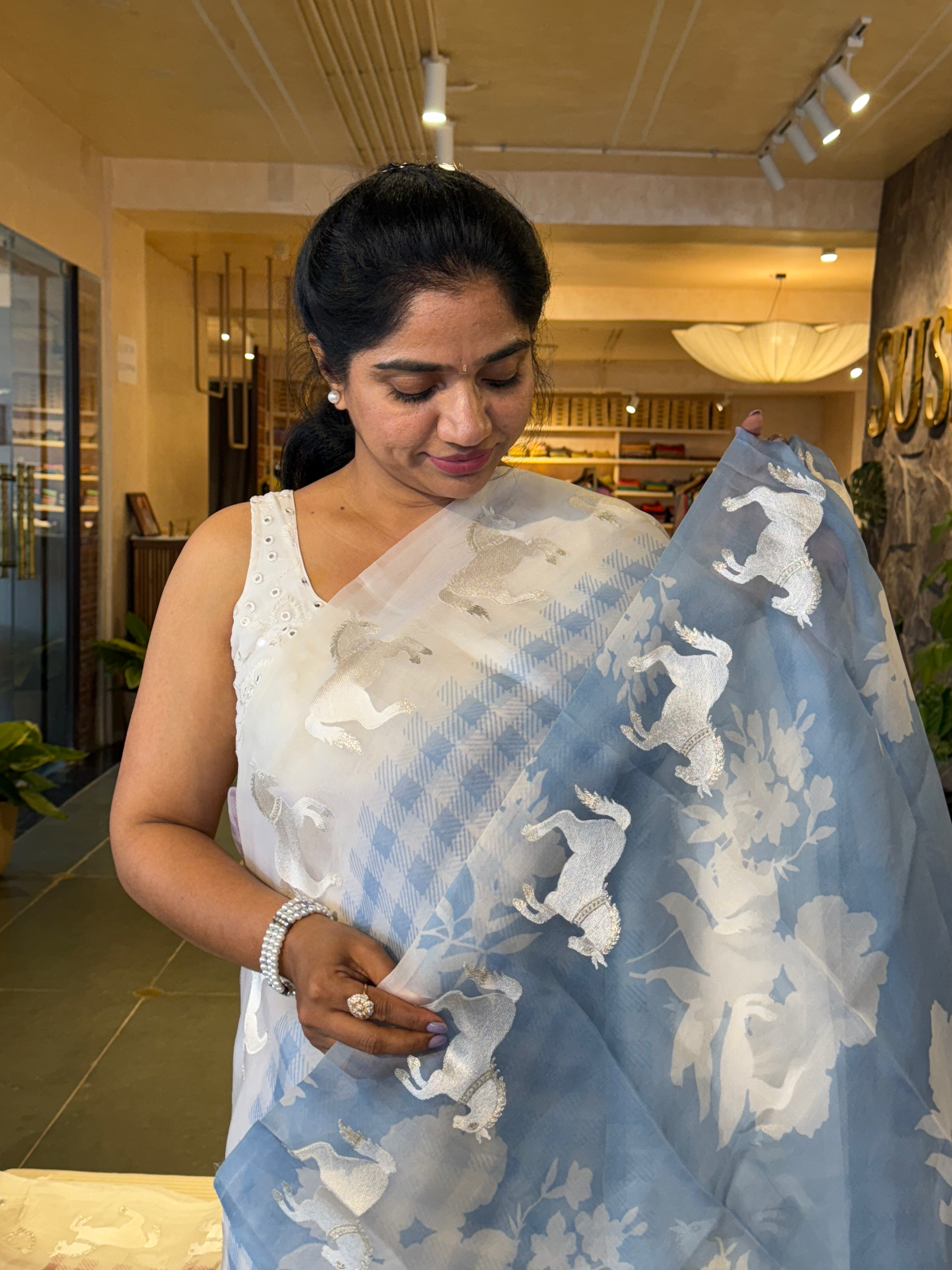 SOCH1302 : White & Blue Organza Saree Wth Embroidered Horse Border & Floral BP