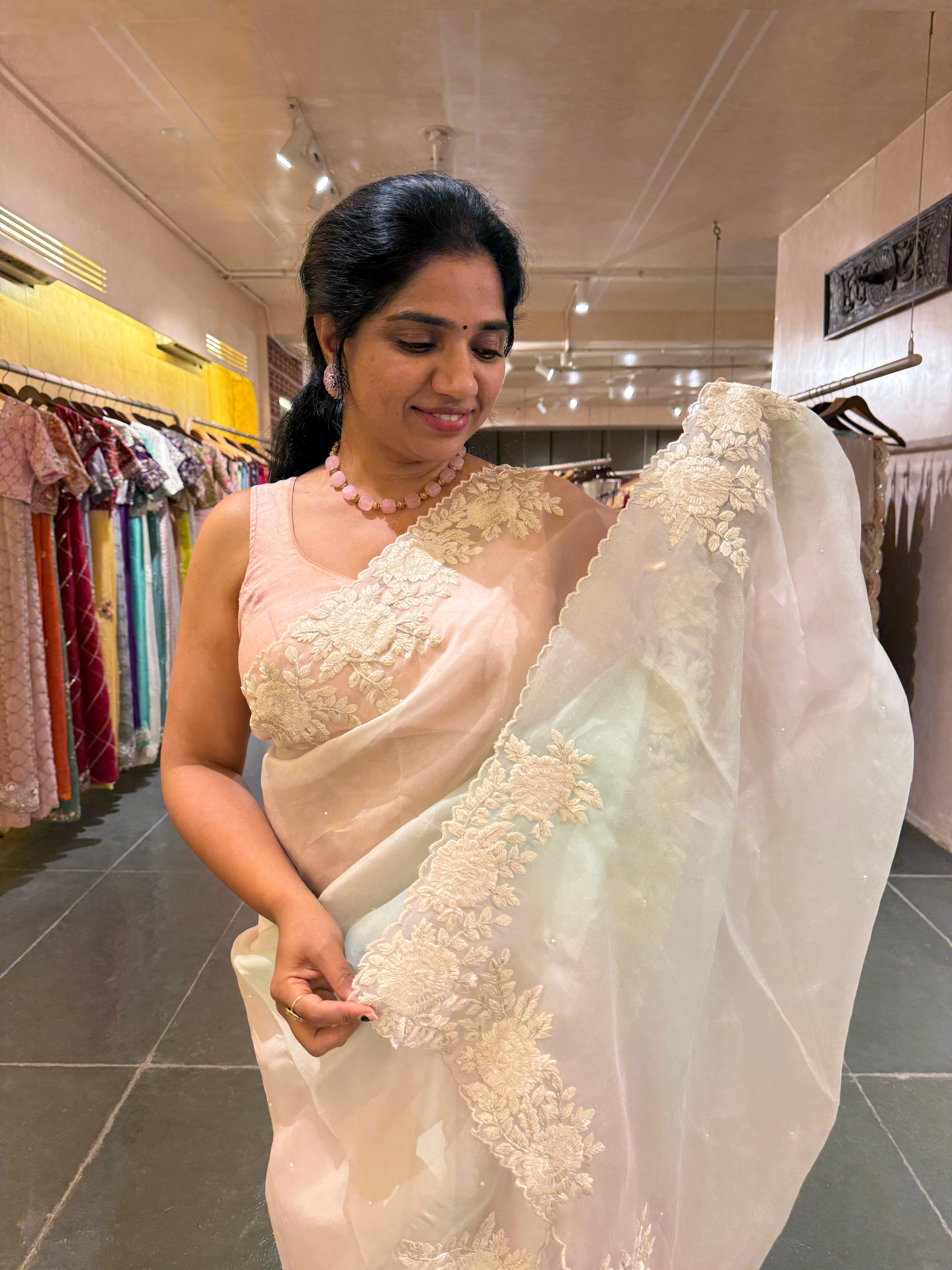 Ombre Dyed Pure Organza Silk Saree with Embroidered Borders