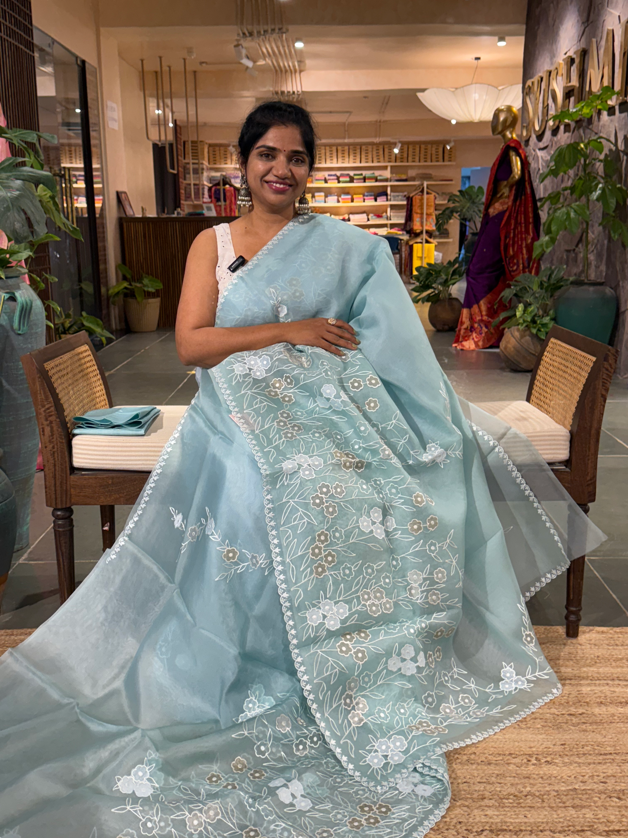 Sky Blue Organza Applique work Saree