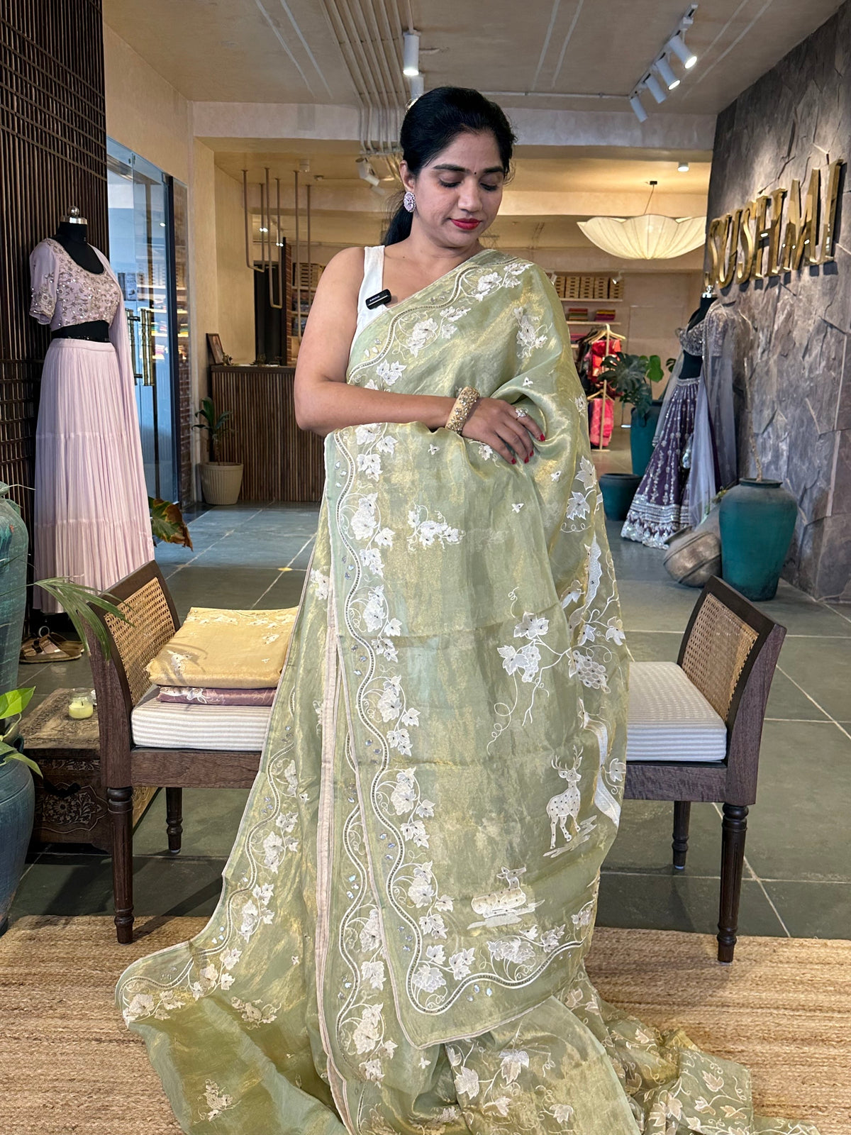 Pista Tissue saree with allover embroidery and handwork highlighting .