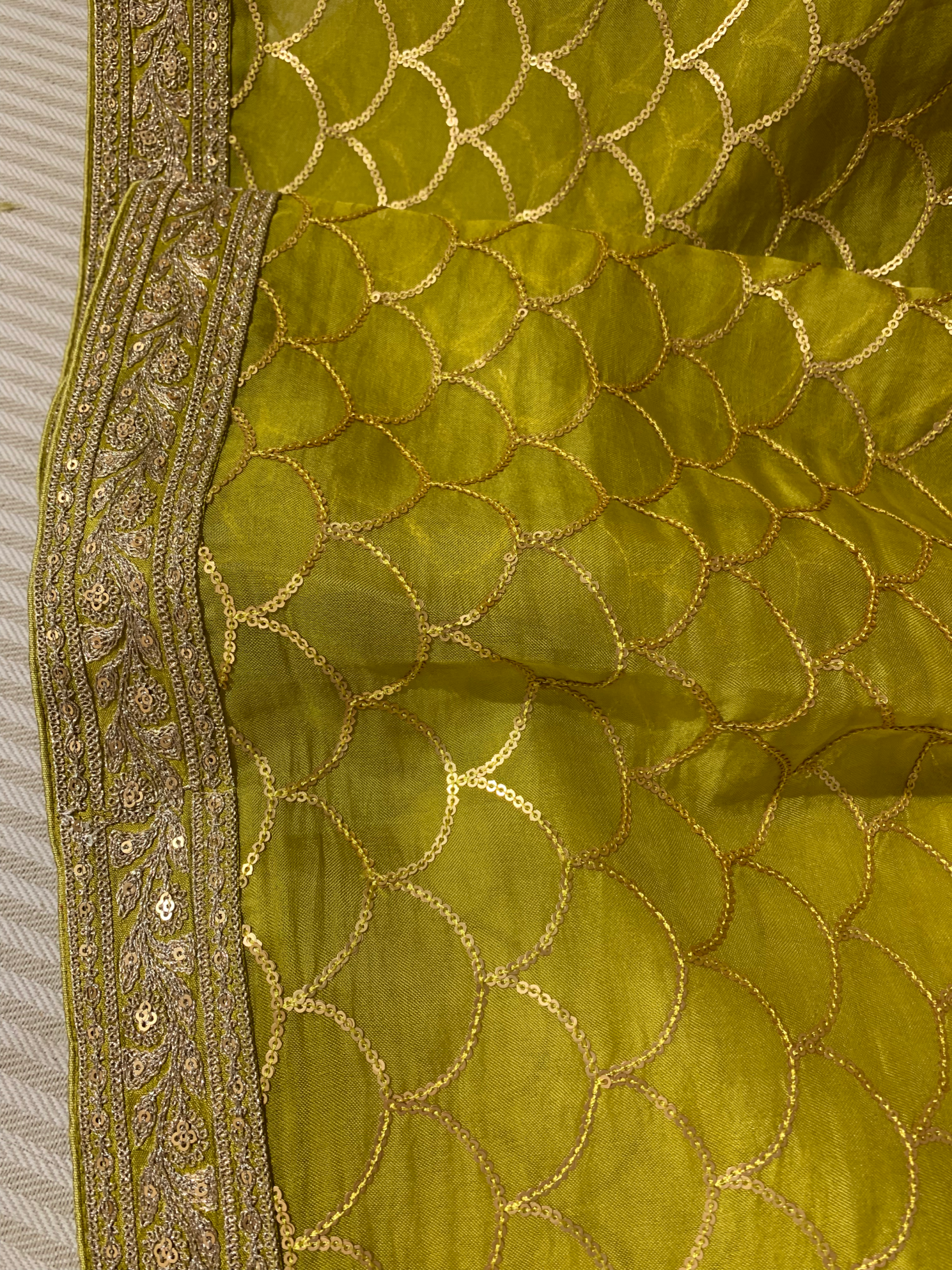 Burgundy Color Pure Organza allover Sequnce Saree in Sabhyasachi Style