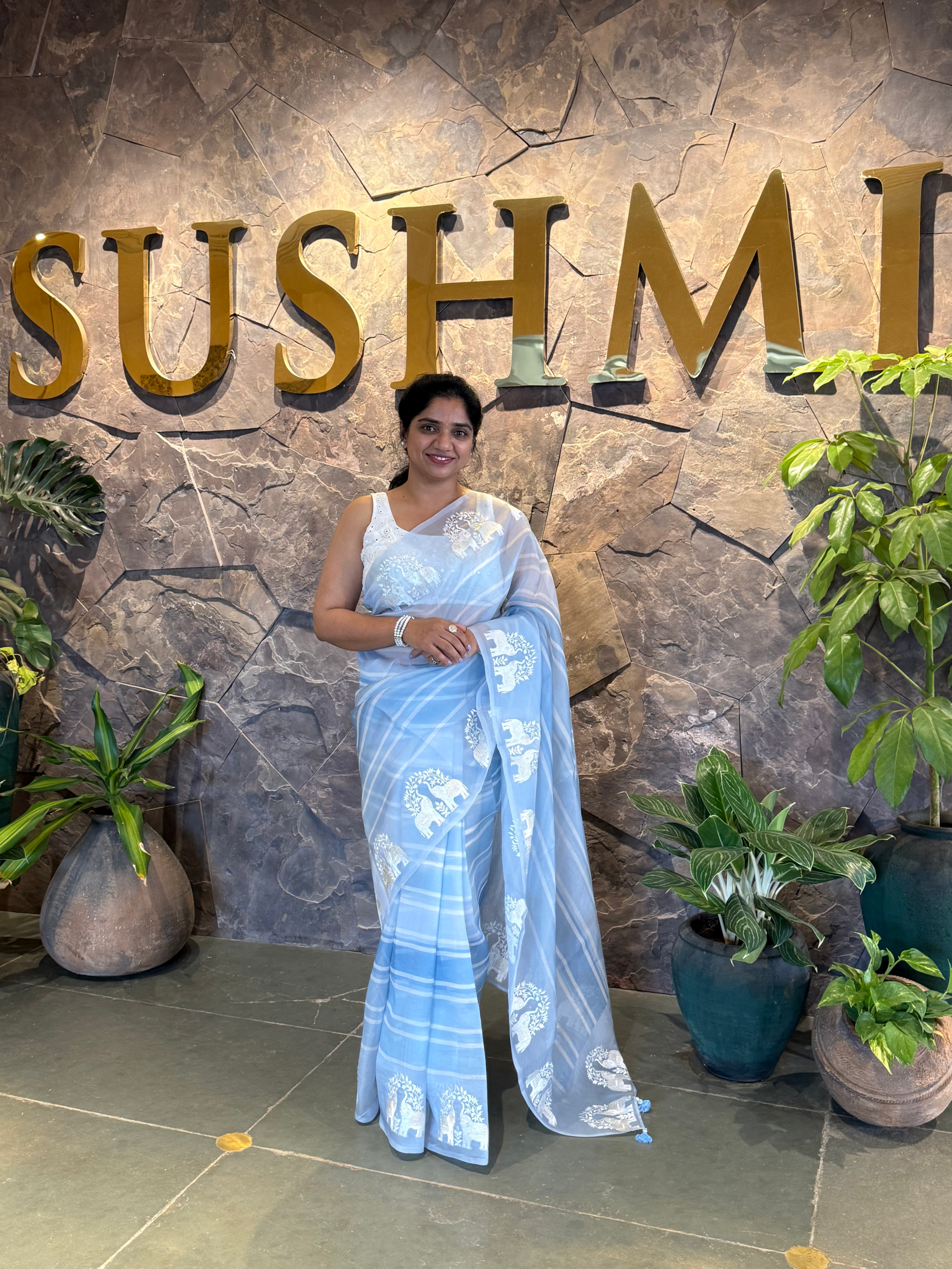 DOEA2701 Blue Shaded Pure Organza  Saree with Embroidery