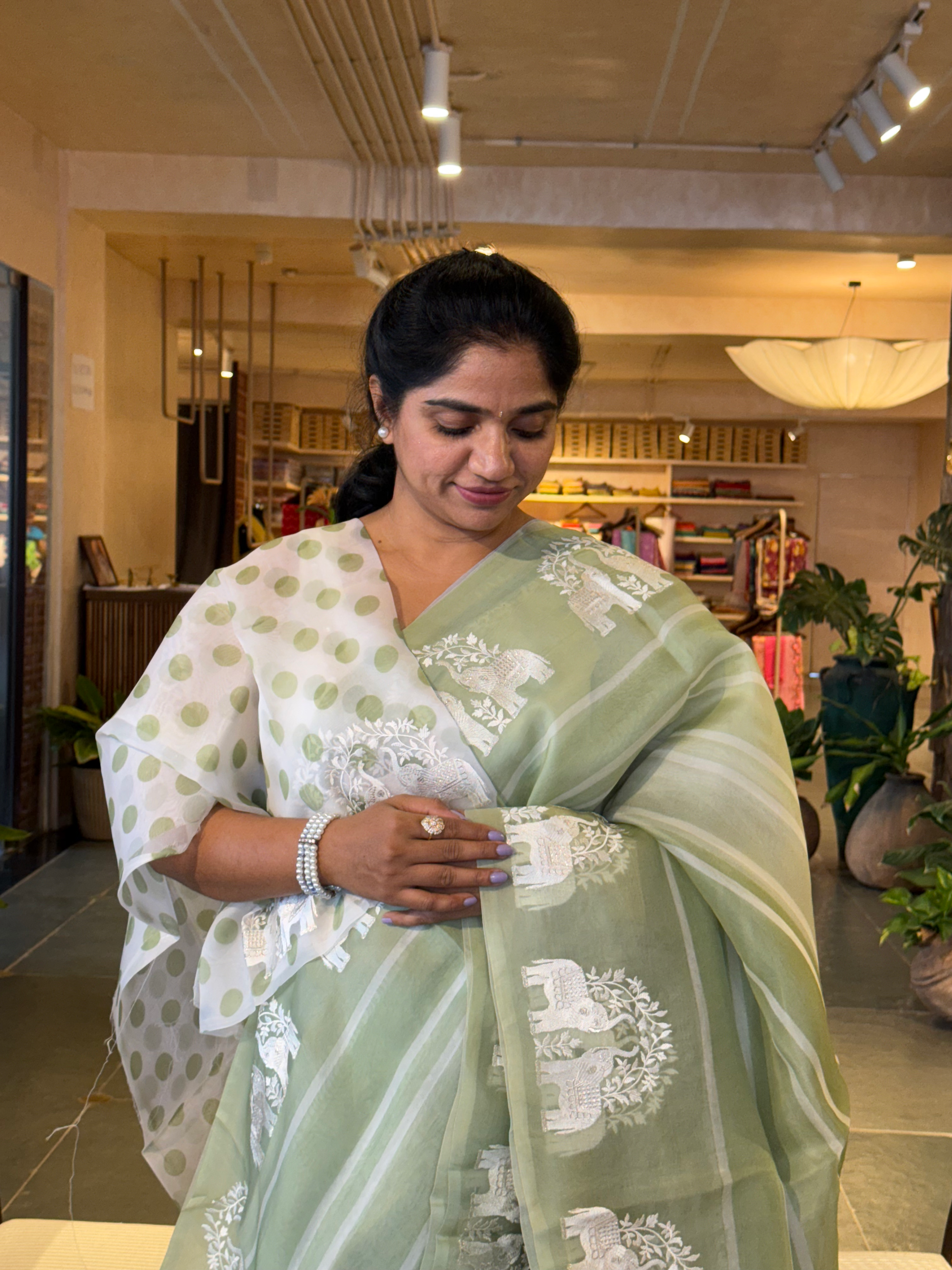 DOEA2704 Sage Green Shaded Pure Organza  Saree with Embroidery