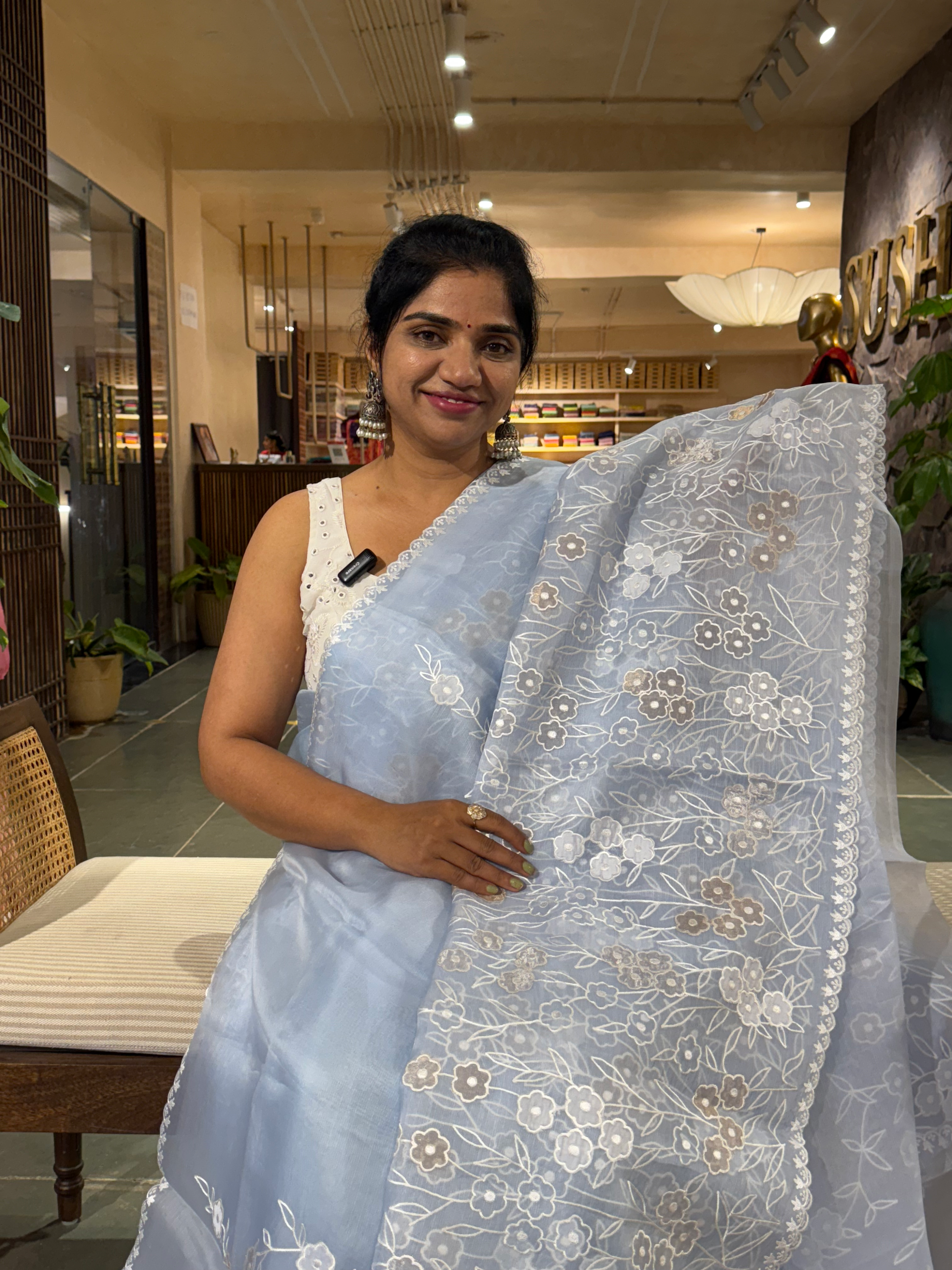 Pastel Blue Organza Applique work Saree