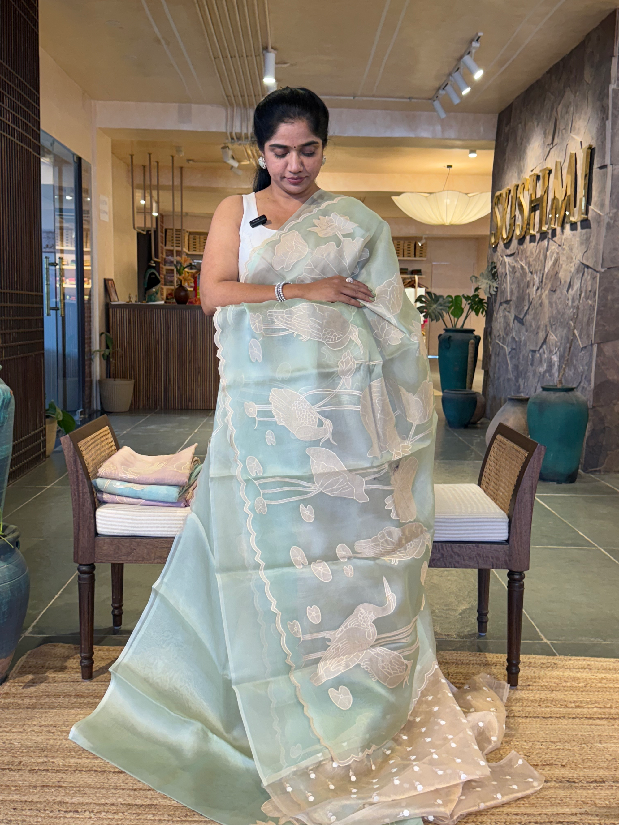Mint Green Pure Organza Designer Saree with Allover Tissue Applique Embroidery