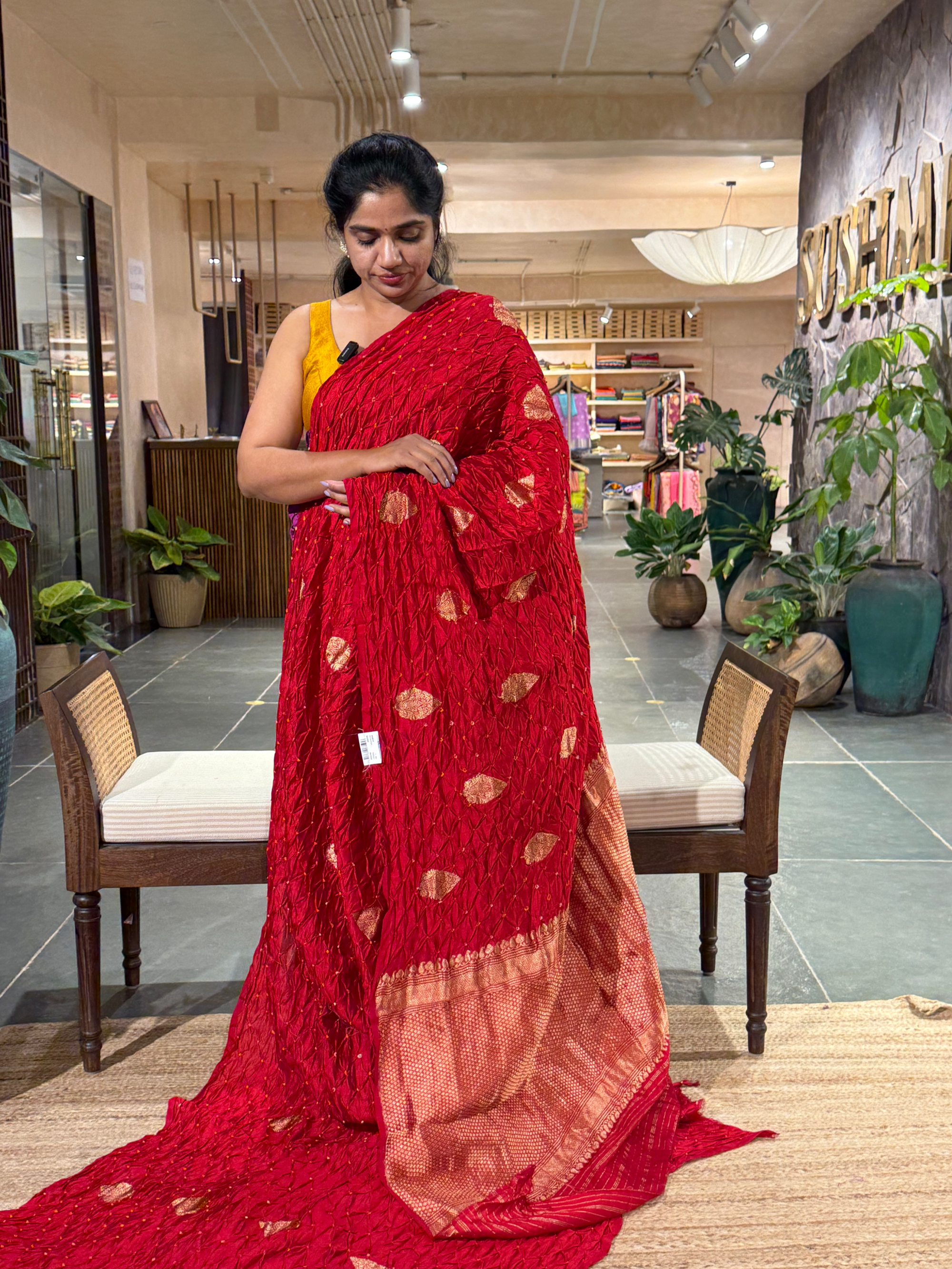 SCBA1102 : Pure Handloom Banarasi Chiniya Bandhej Saree with Patola Blouse