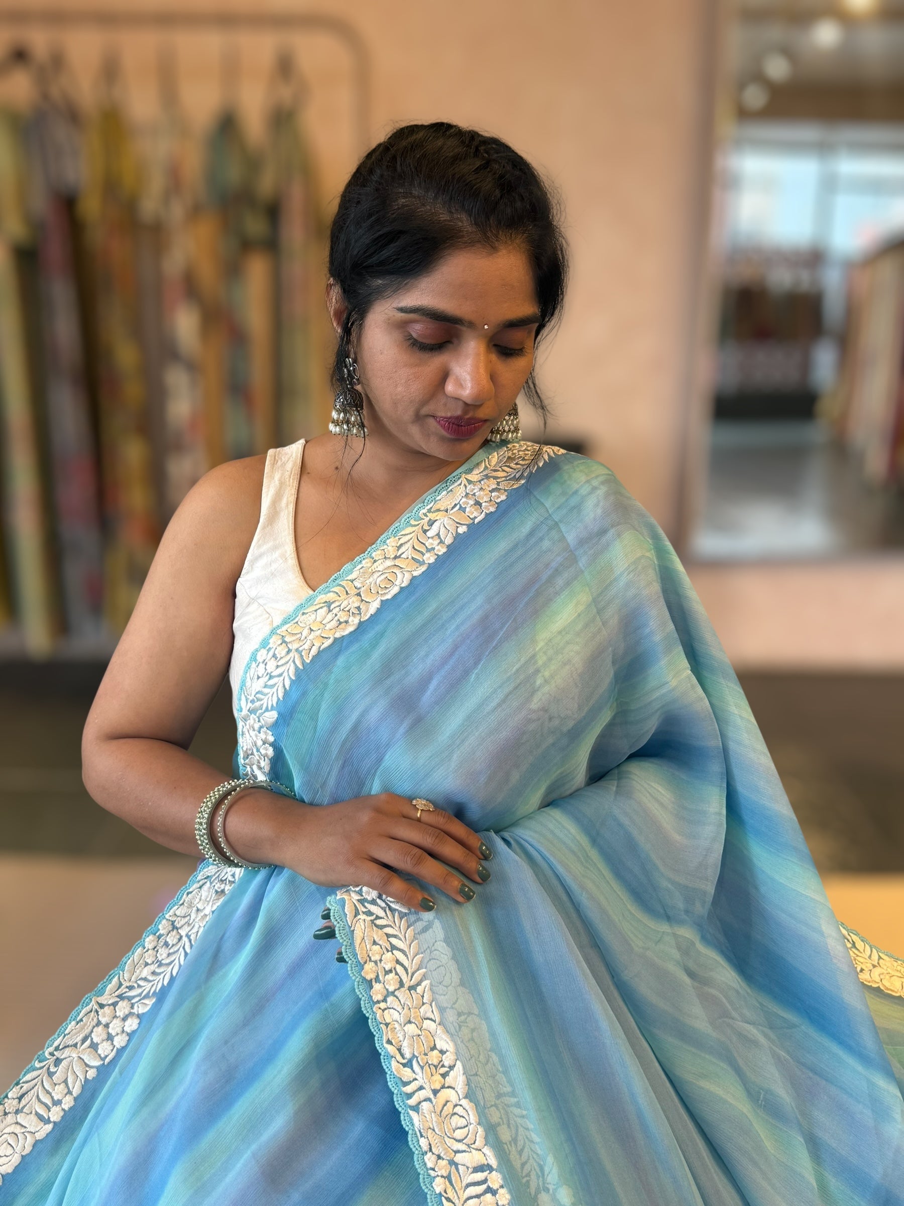 Pure Chiffon Saree with Ombre Brush dyeing & Parsi Gara Embroidered Border