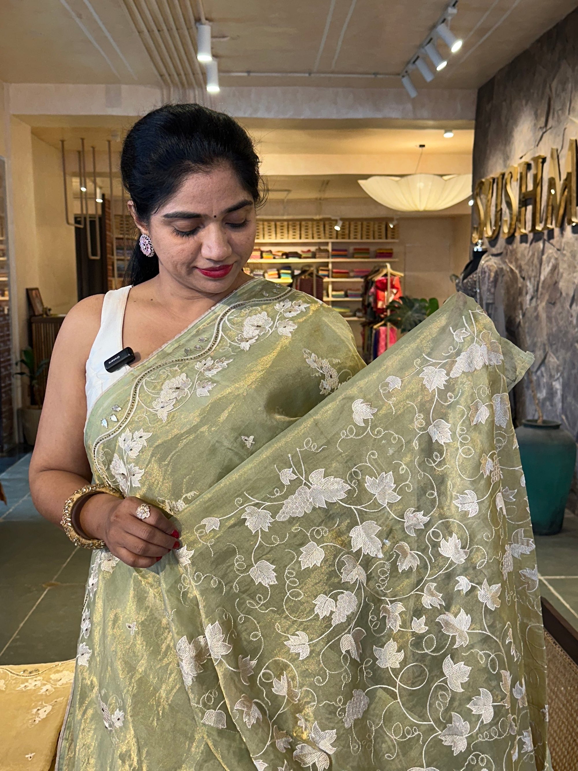 Pista Tissue saree with allover embroidery and handwork highlighting .