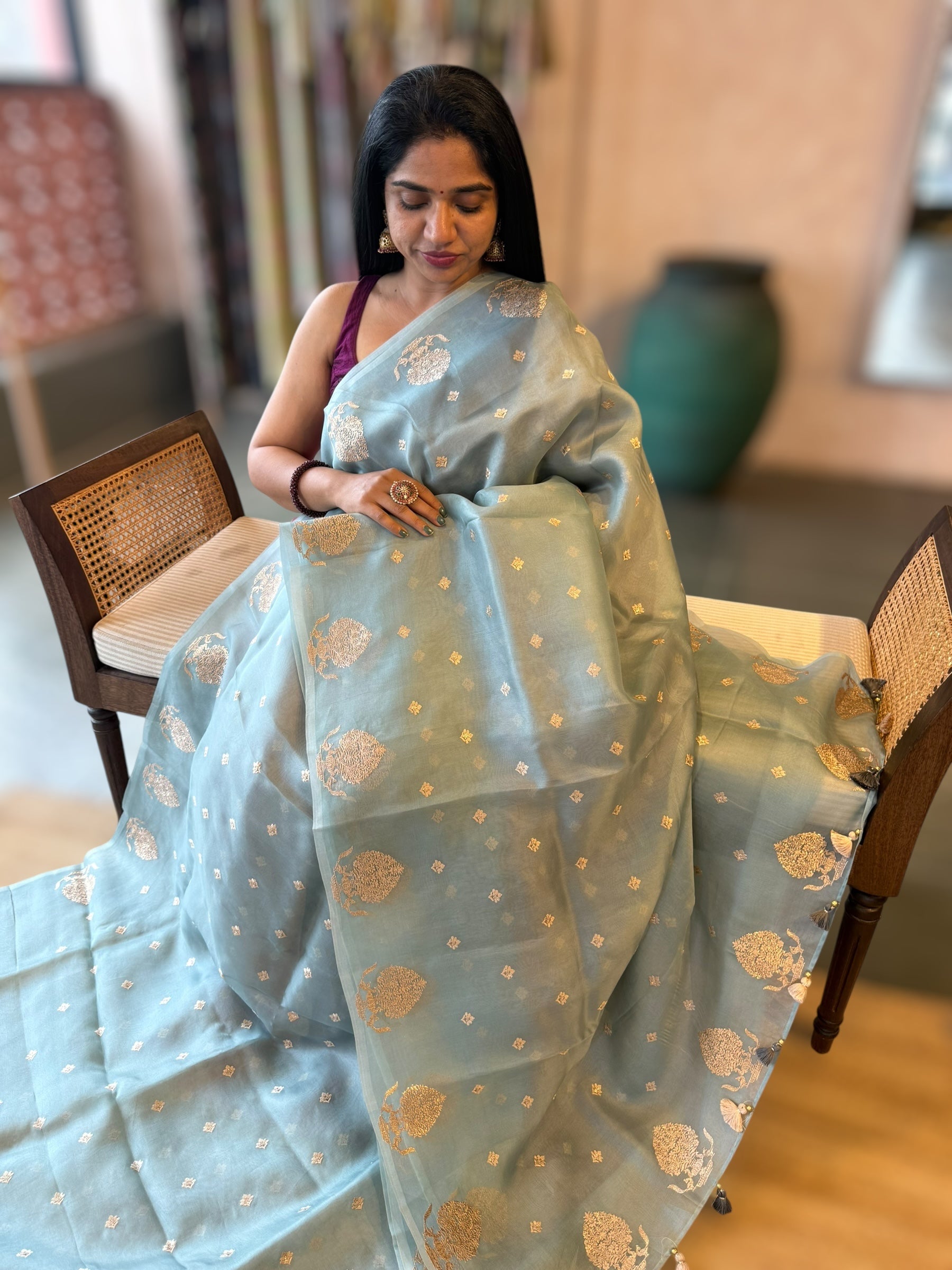 PowderBlue Organza Saree With Embroidered Open Border With Tussar Printed Blouse