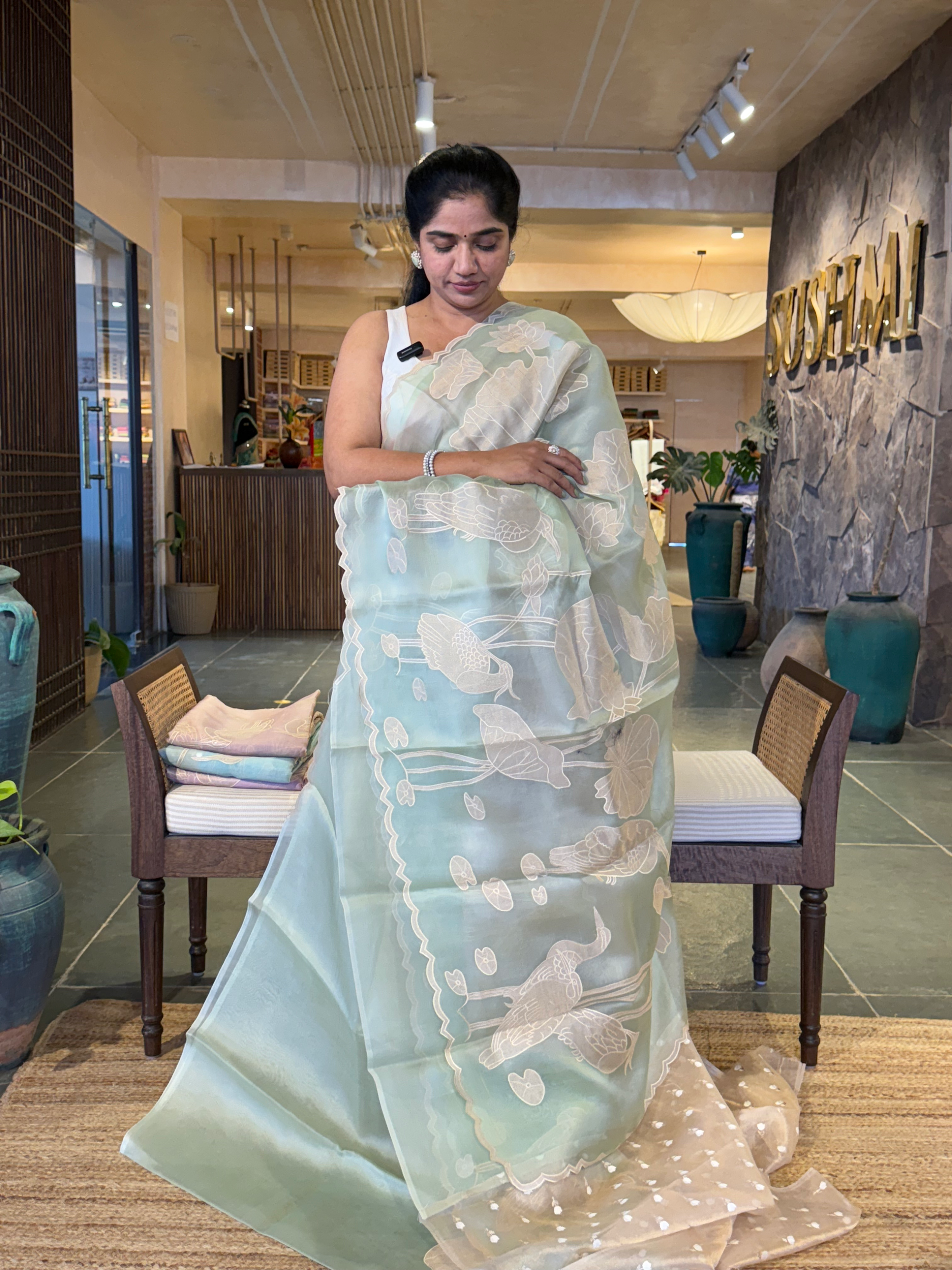 Mint Green Pure Organza Designer Saree with Allover Tissue Applique Embroidery