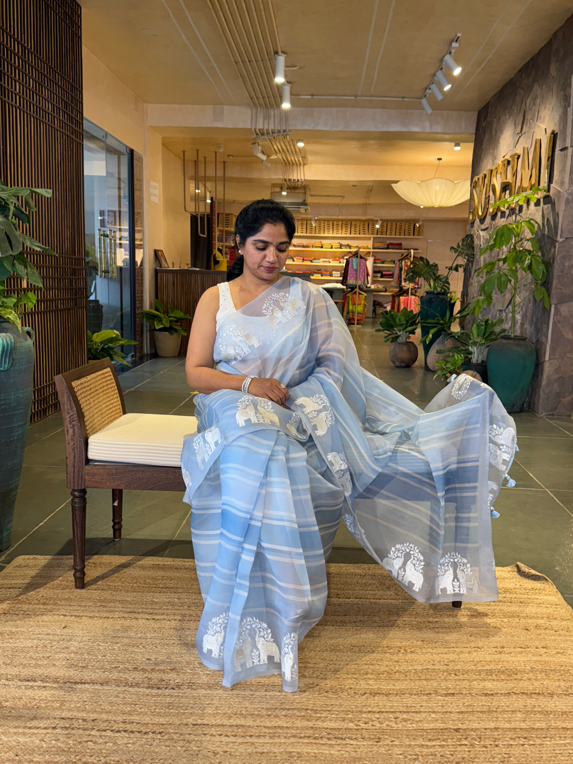 DOEA2701 Blue Shaded Pure Organza  Saree with Embroidery