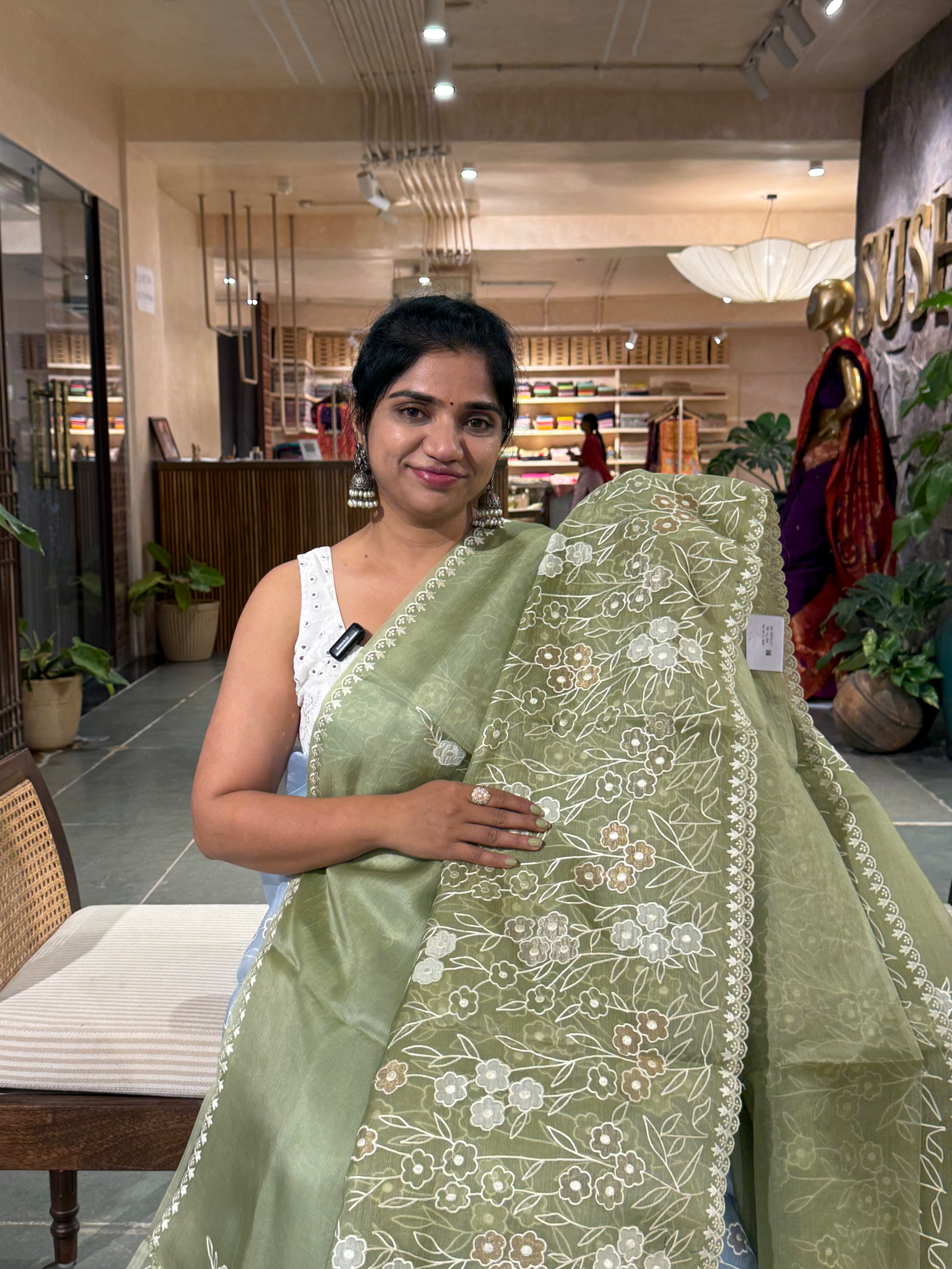 Olive Organza Applique work Saree