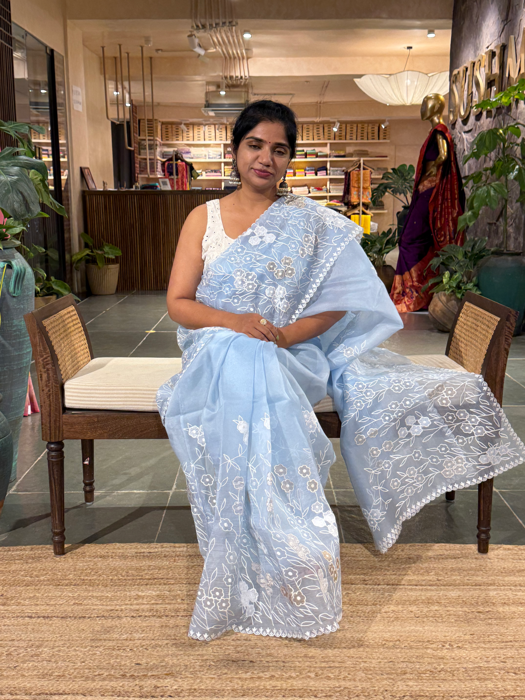 Evening Sky Organza Applique work Saree