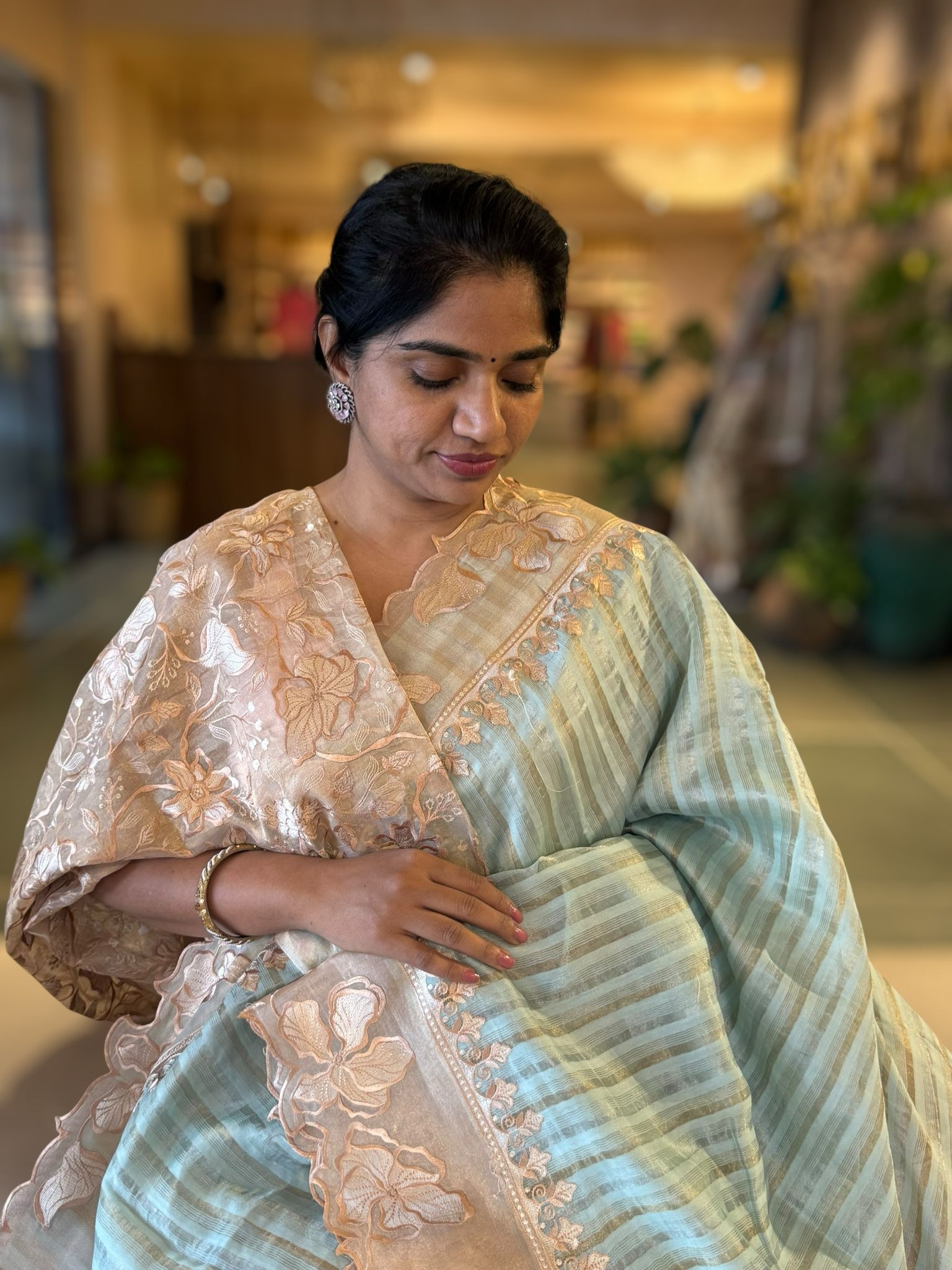 Pastel blue Mul Tissue Stripes Saree With Tissue Cutwork  Border & Blouse