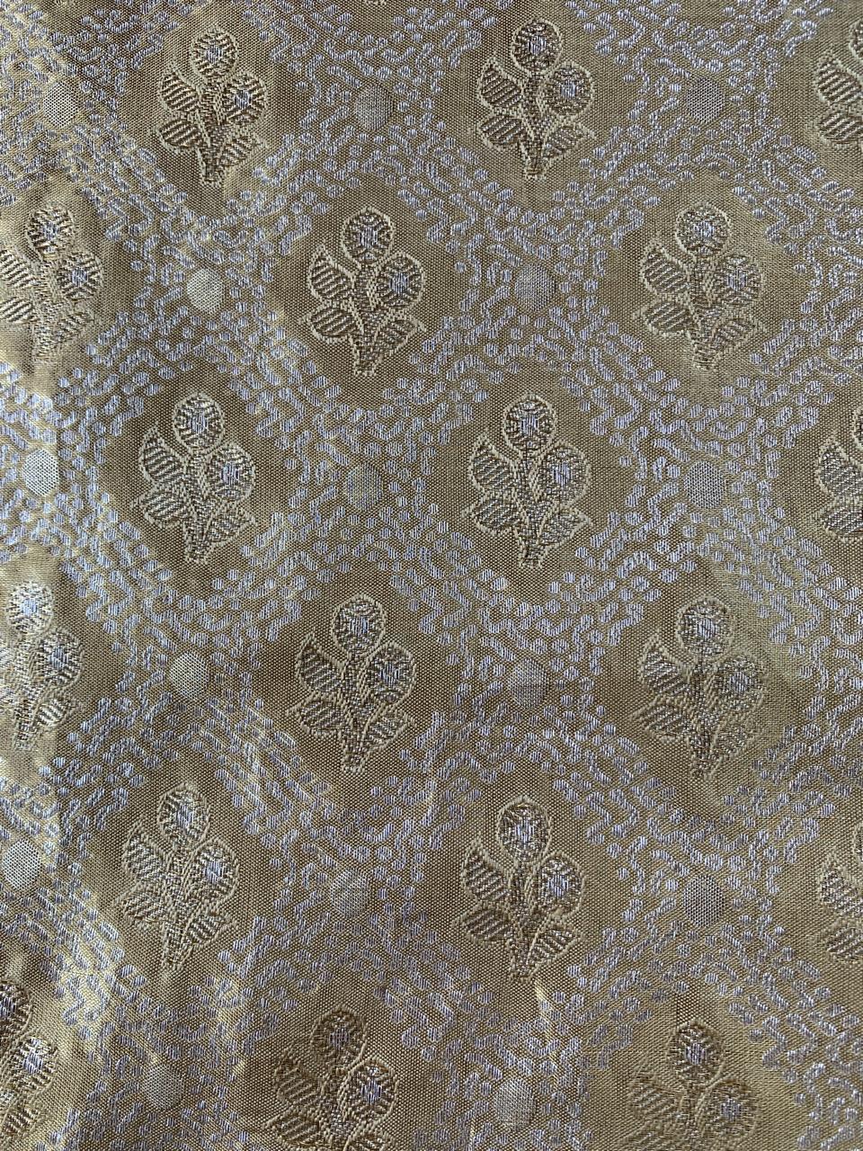 Pure Kanchi Tissue Brocade Saree with Petite Point Embroidery