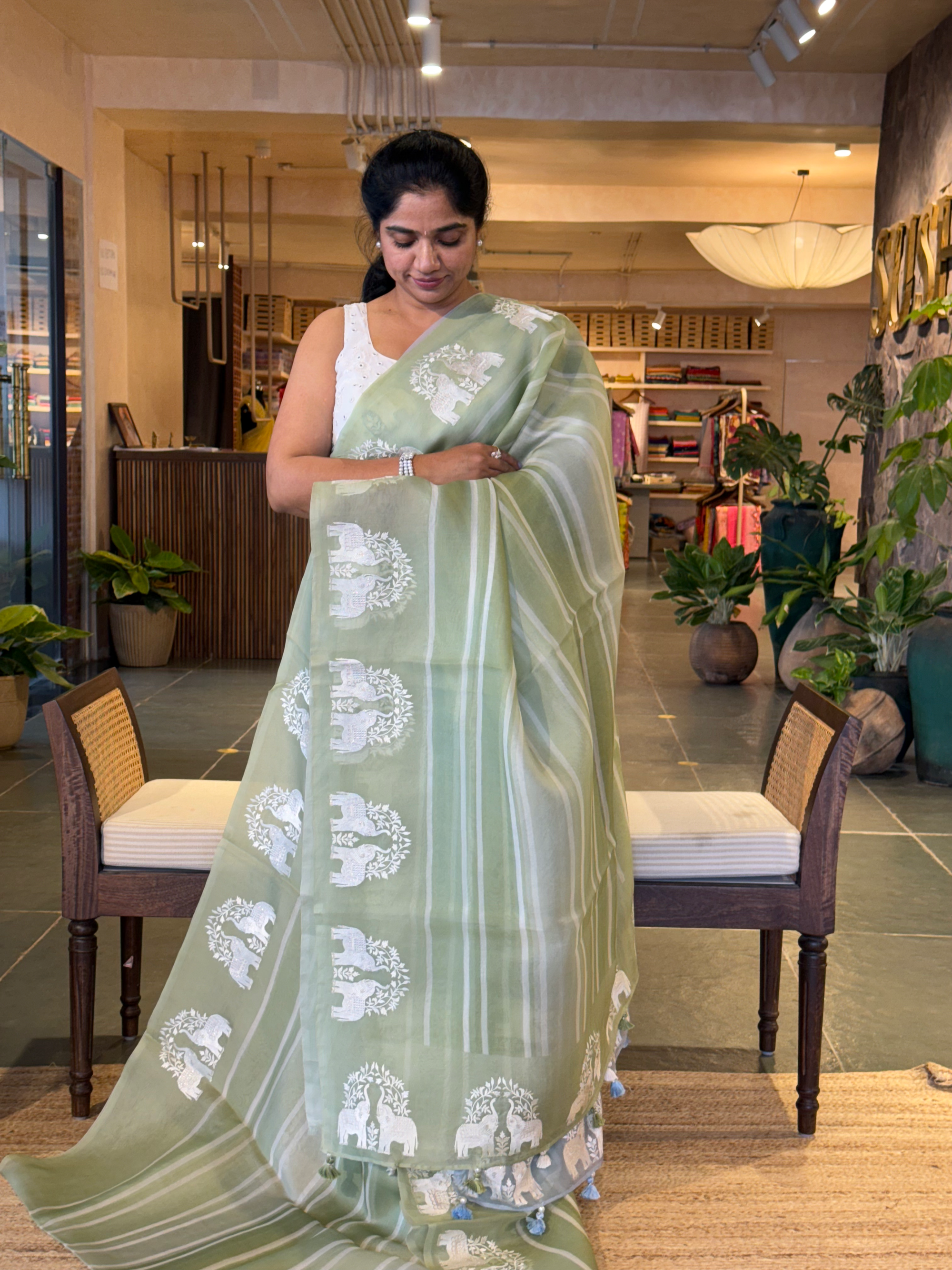 DOEA2704 Sage Green Shaded Pure Organza  Saree with Embroidery