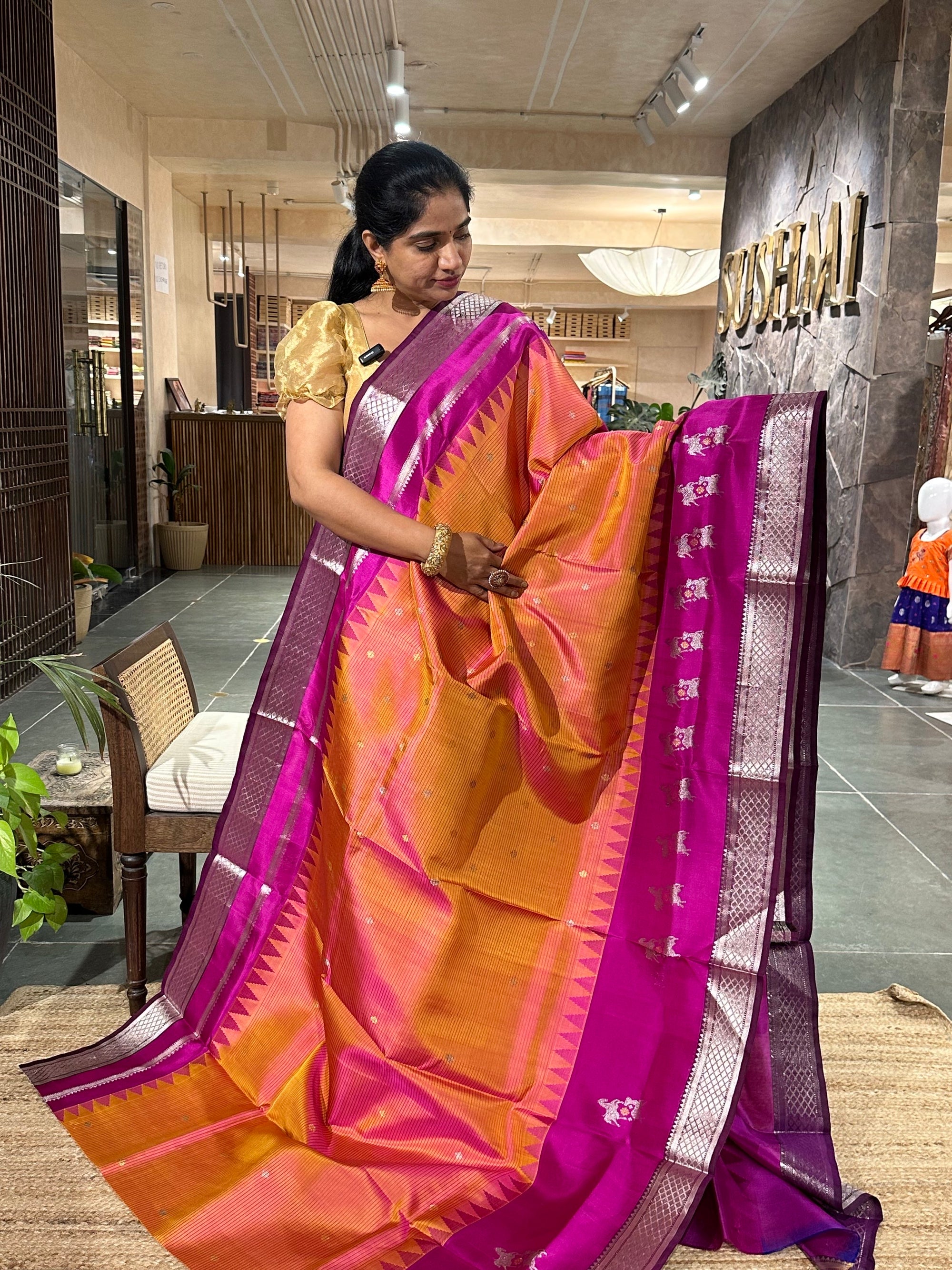 Venkatagiri Handloom Pure Silk Saree