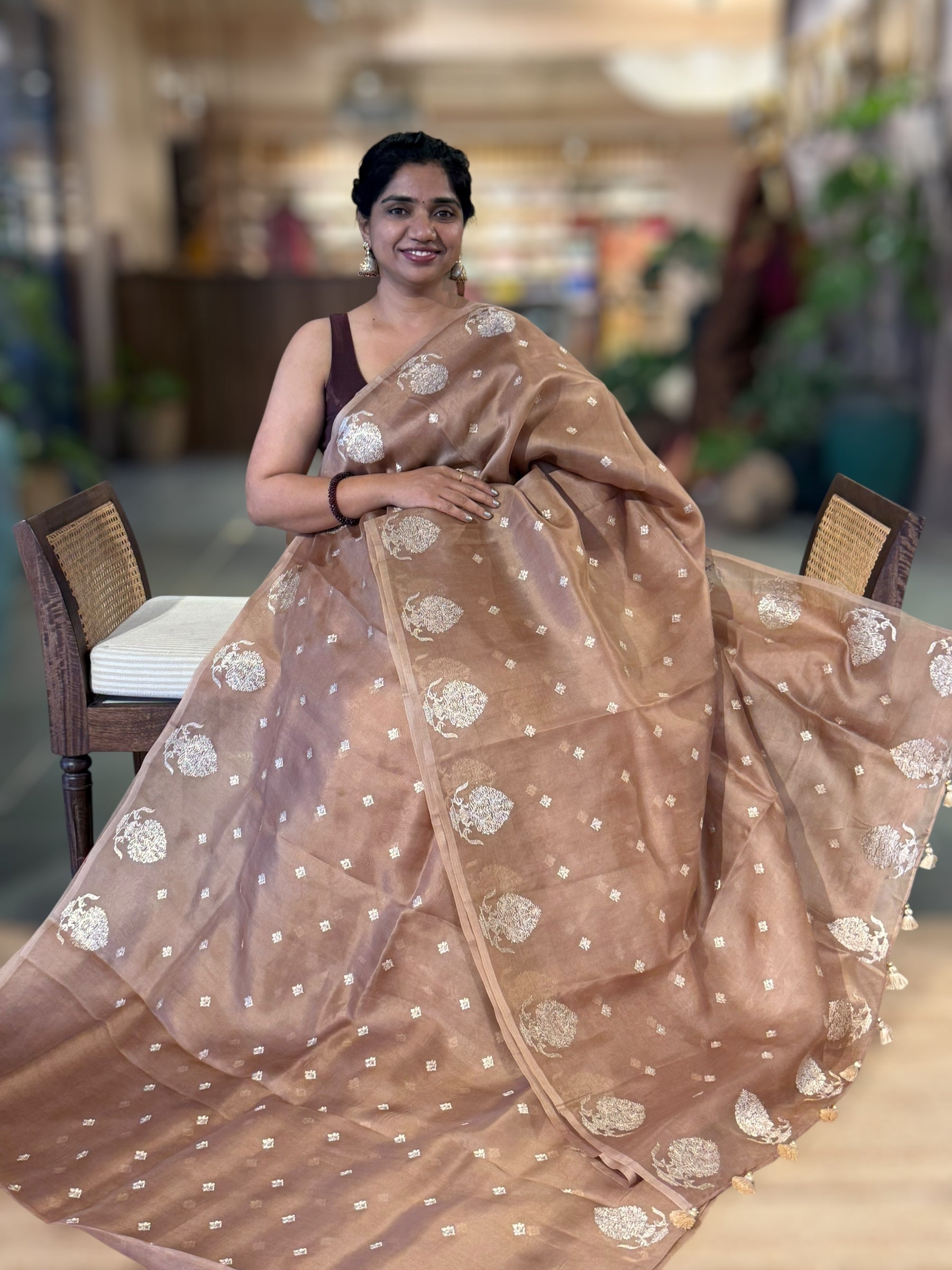 Nude Organza Saree With Embroidered Motifs Border & Tussar Printed Blouse