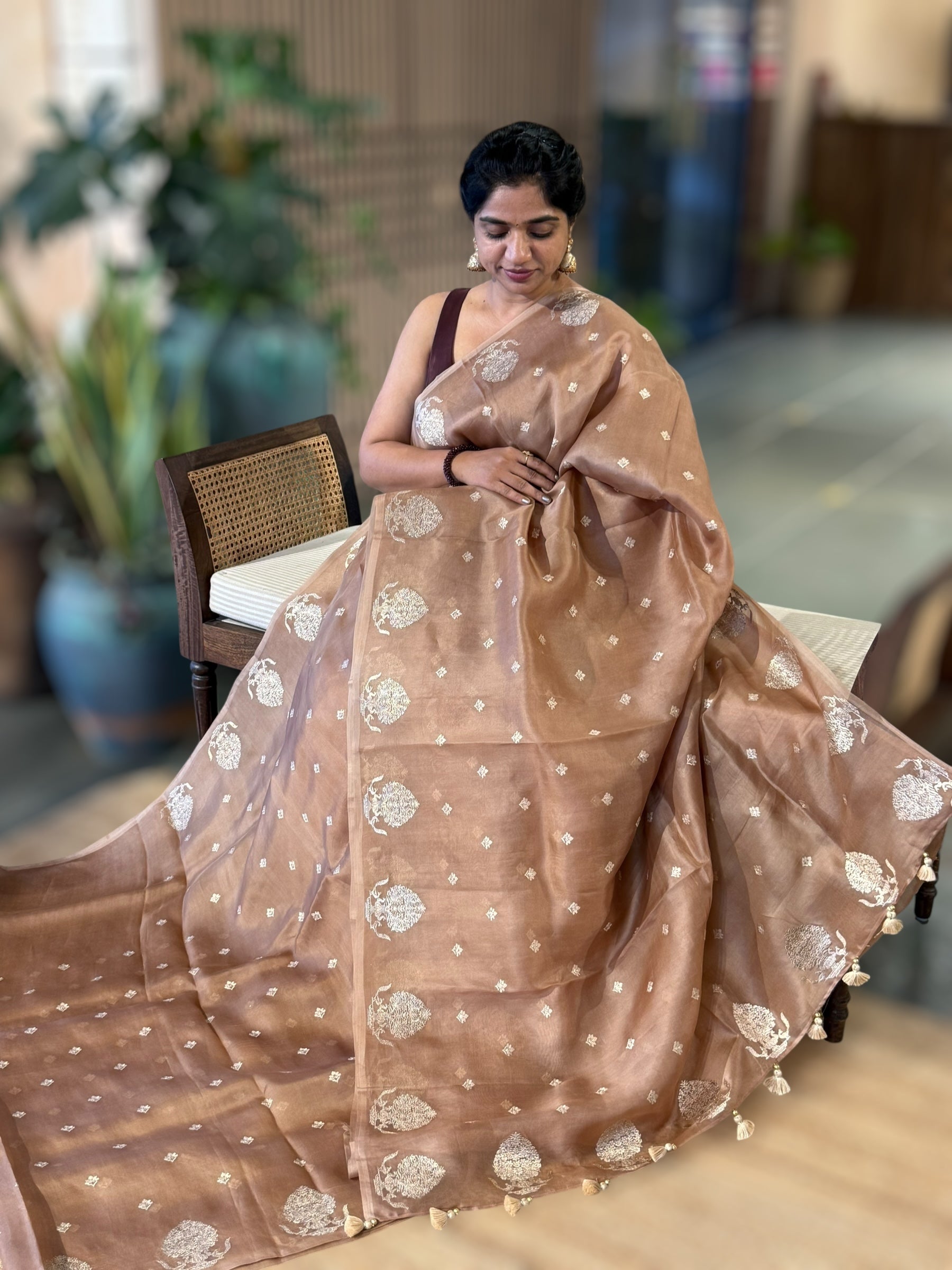 Nude Organza Saree With Embroidered Motifs Border & Tussar Printed Blouse