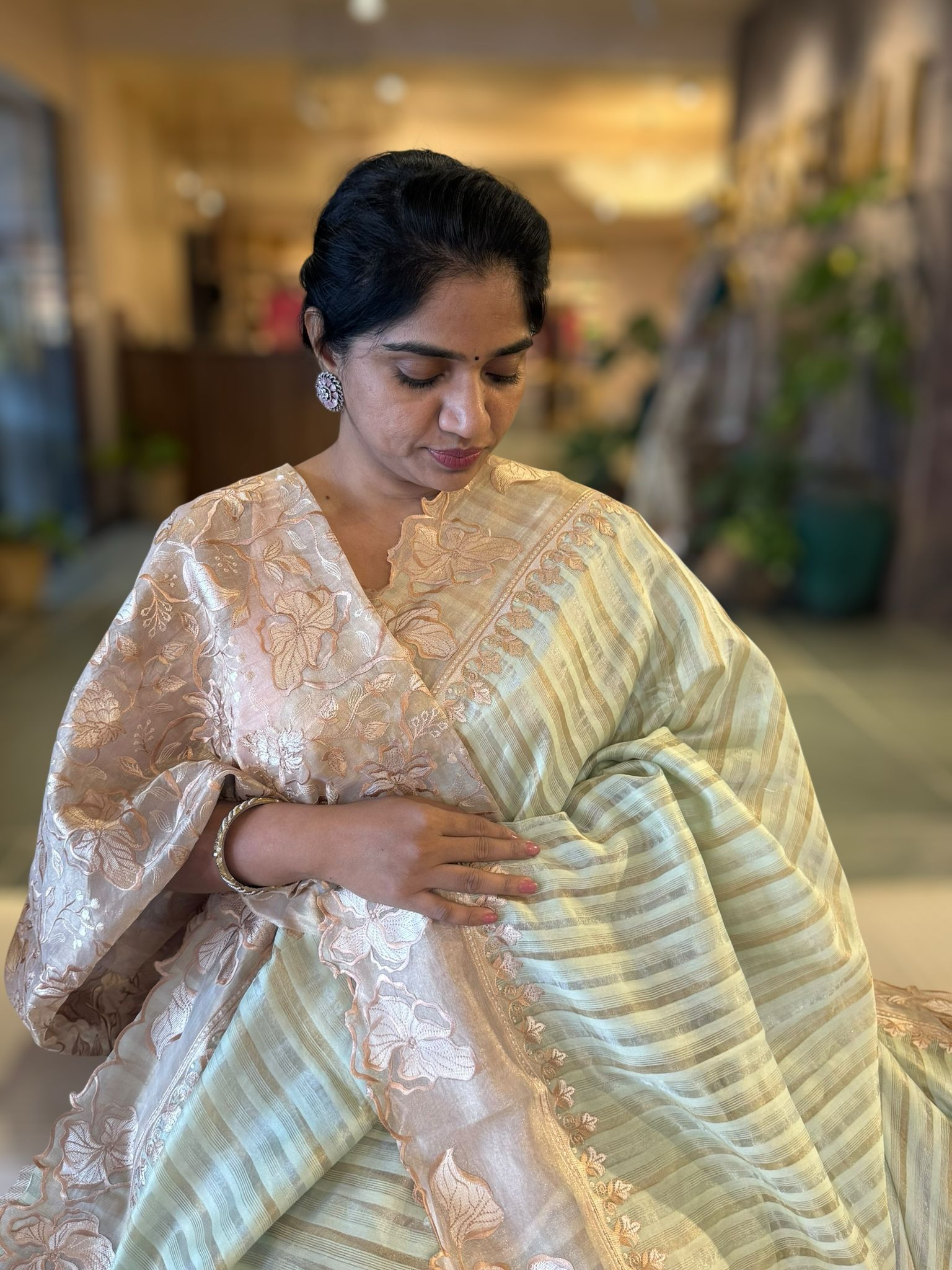 Mint Mul Tissue Stripes Saree With Tissue Cutwork  Border & Blouse