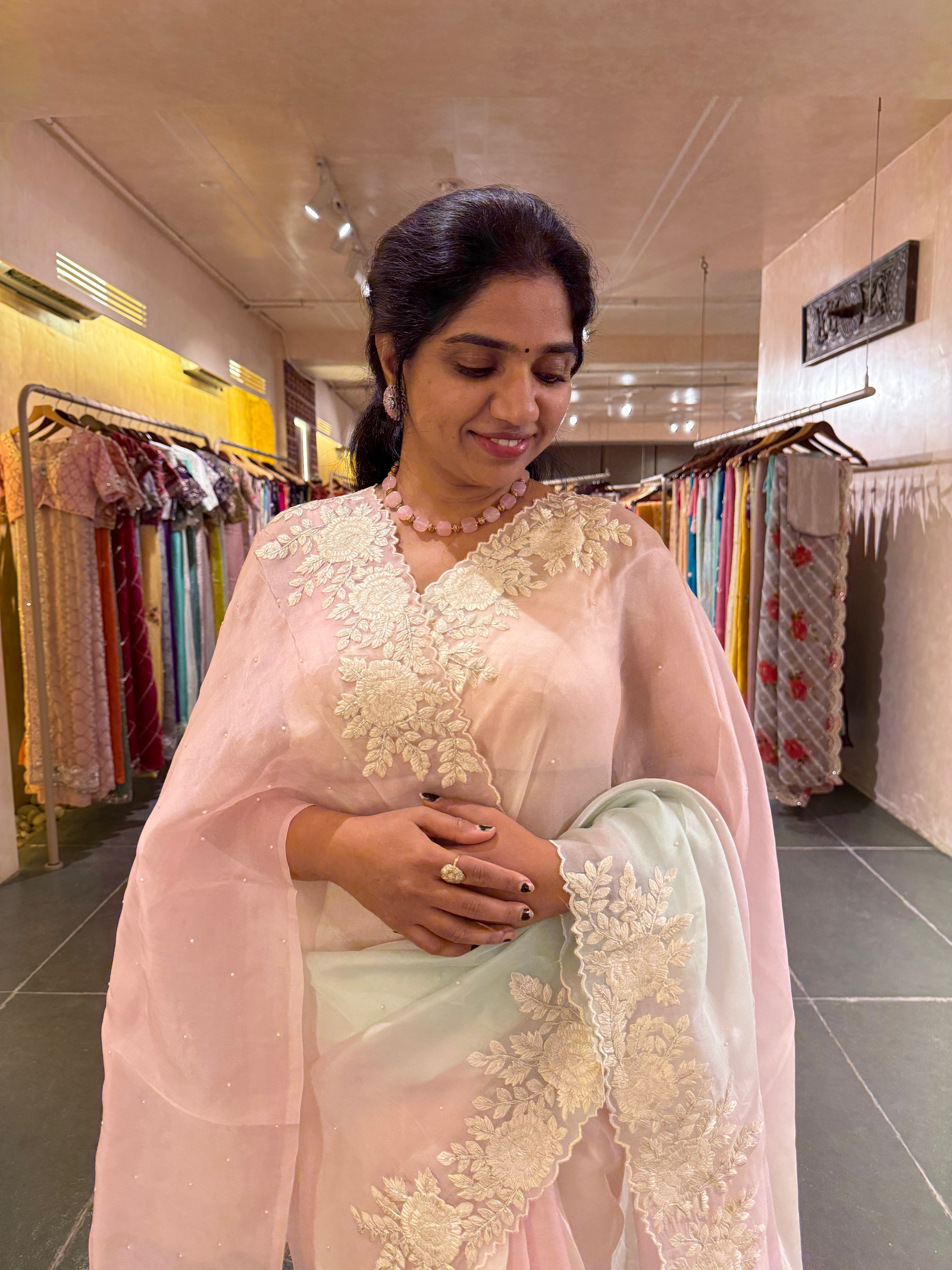 Ombre Dyed Pure Organza Silk Saree with Embroidered Borders
