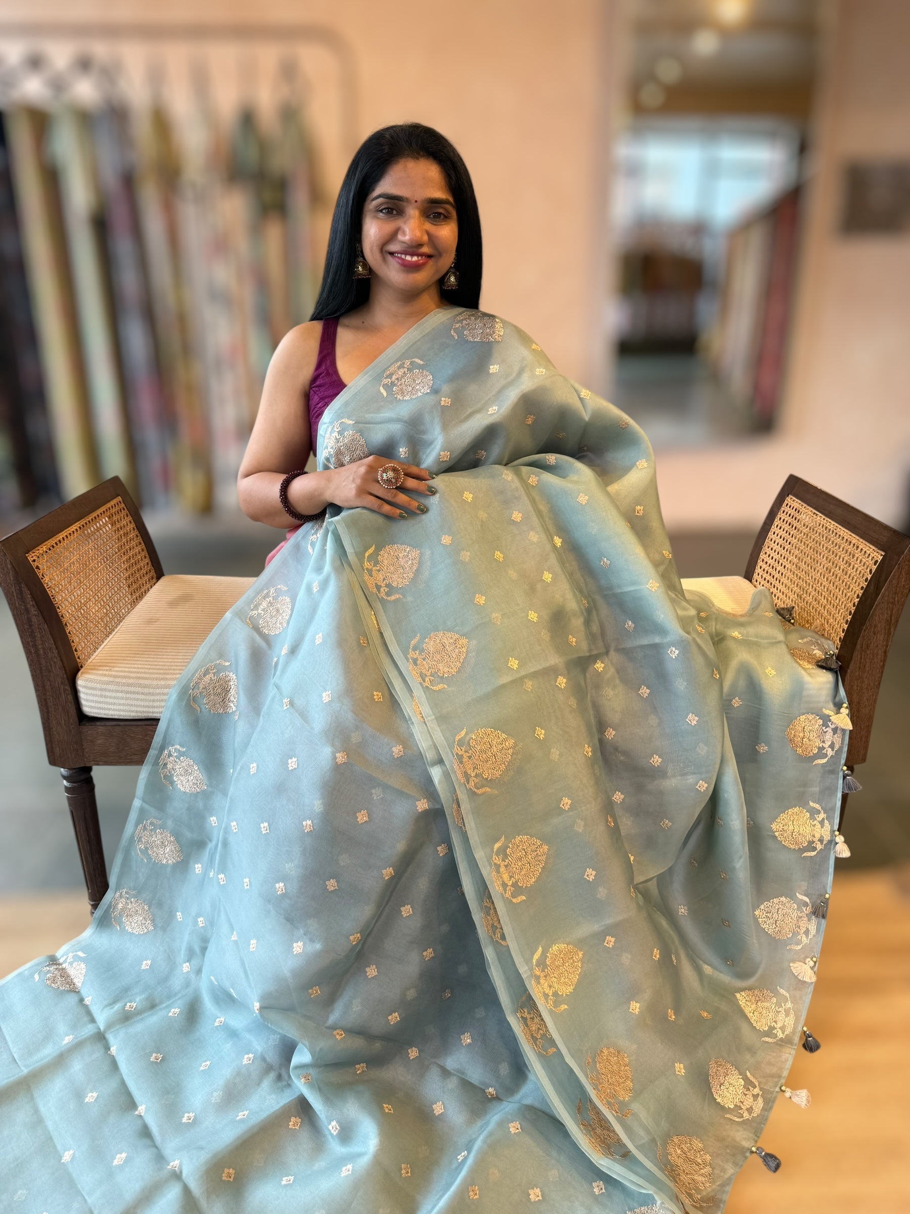 PowderBlue Organza Saree With Embroidered Open Border With Tussar Printed Blouse