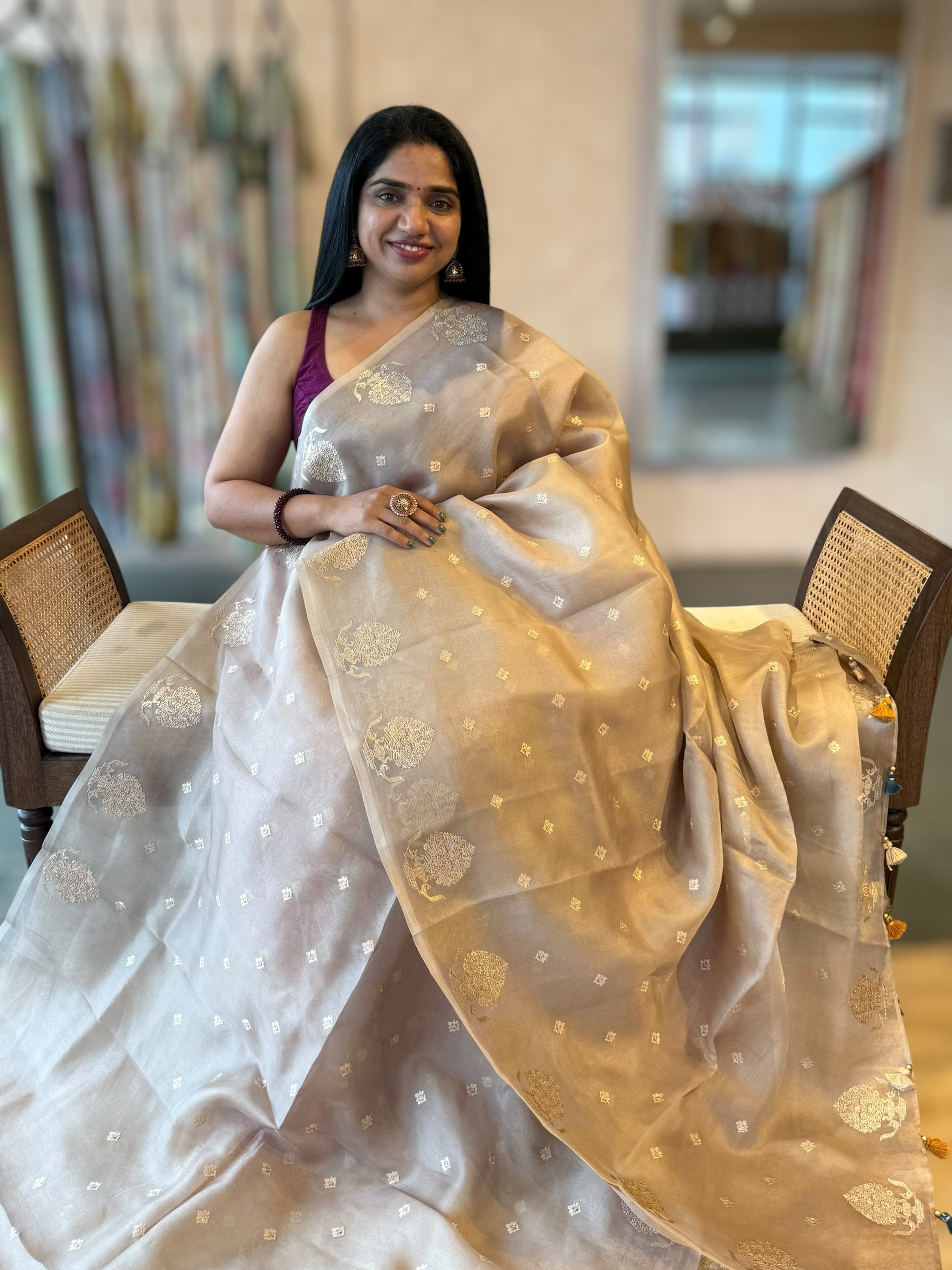 Dusty Tone Organza Saree wth Embroidered Open Border With Tussar Printed Blouse