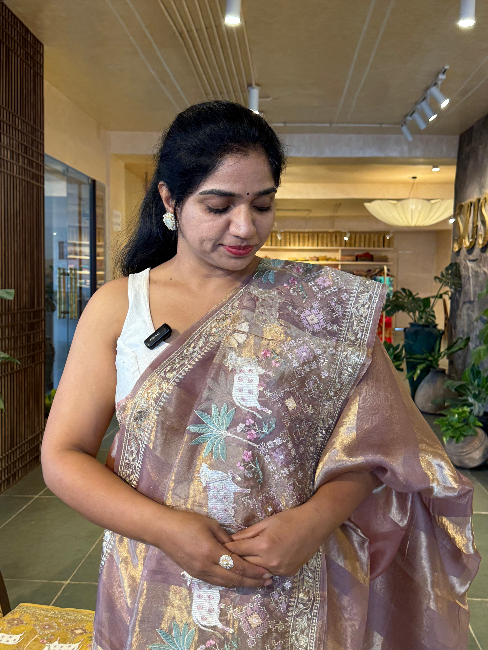 Kora Tissue Stripes with Pichwai & Jamdani Inspired Embroidery