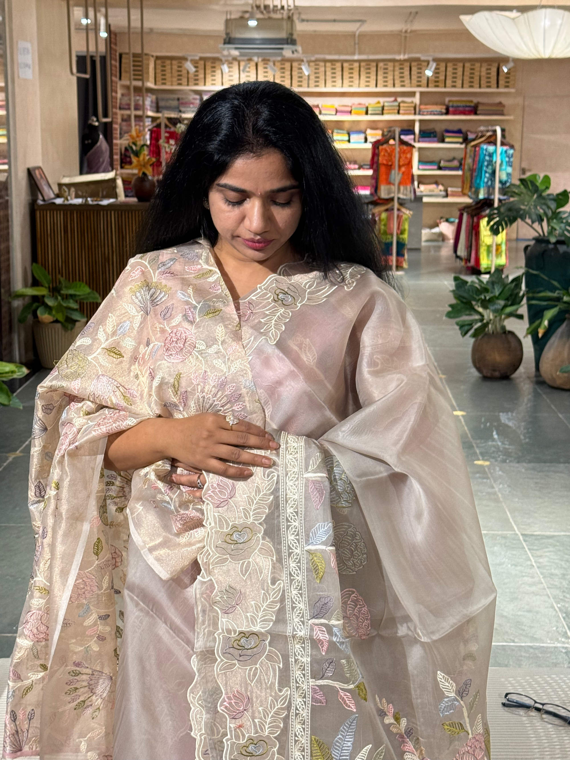 Earthy Tone Pure Organza Saree with embroidered and cutwork borders