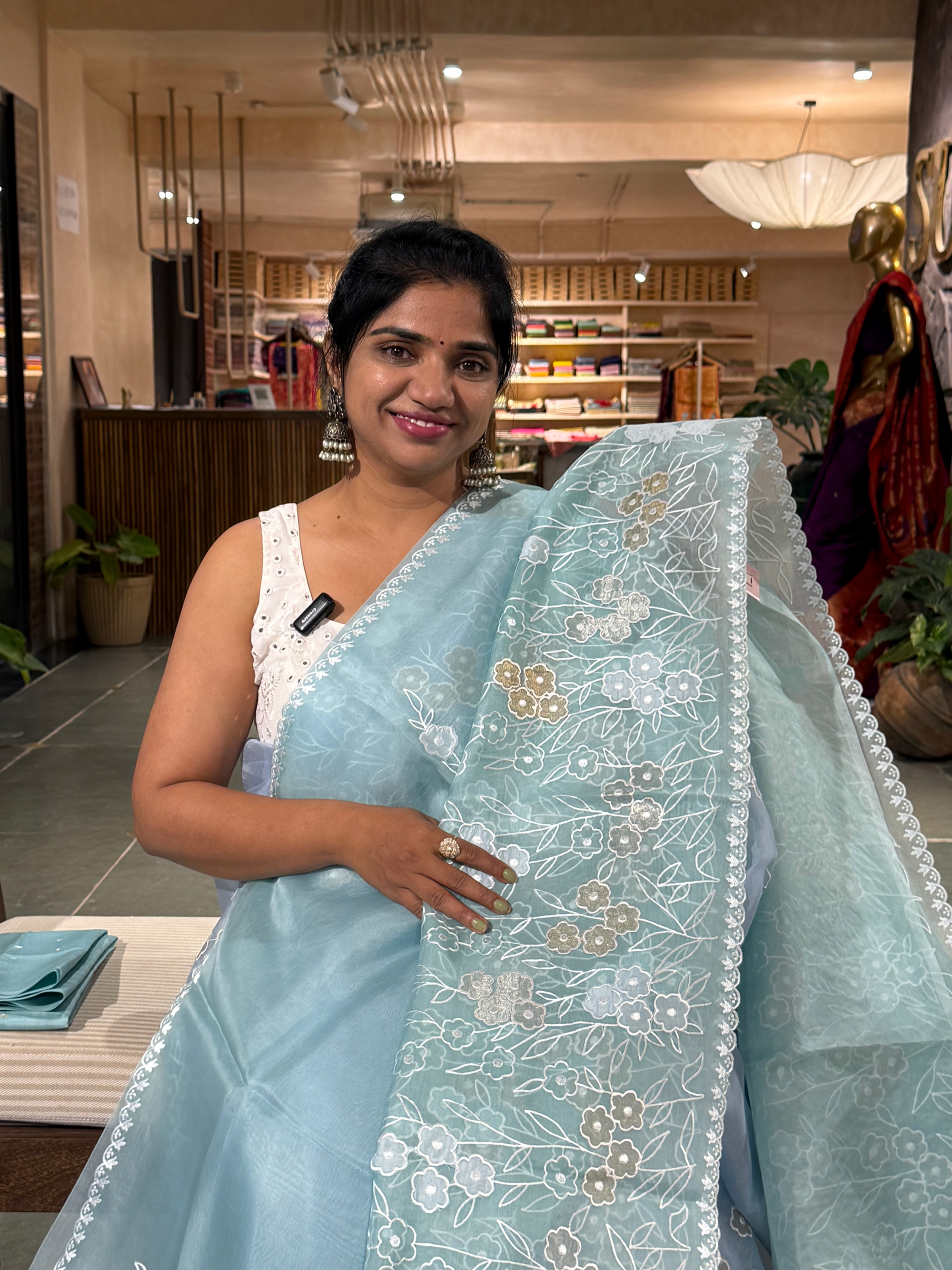 Sky Blue Organza Applique work Saree