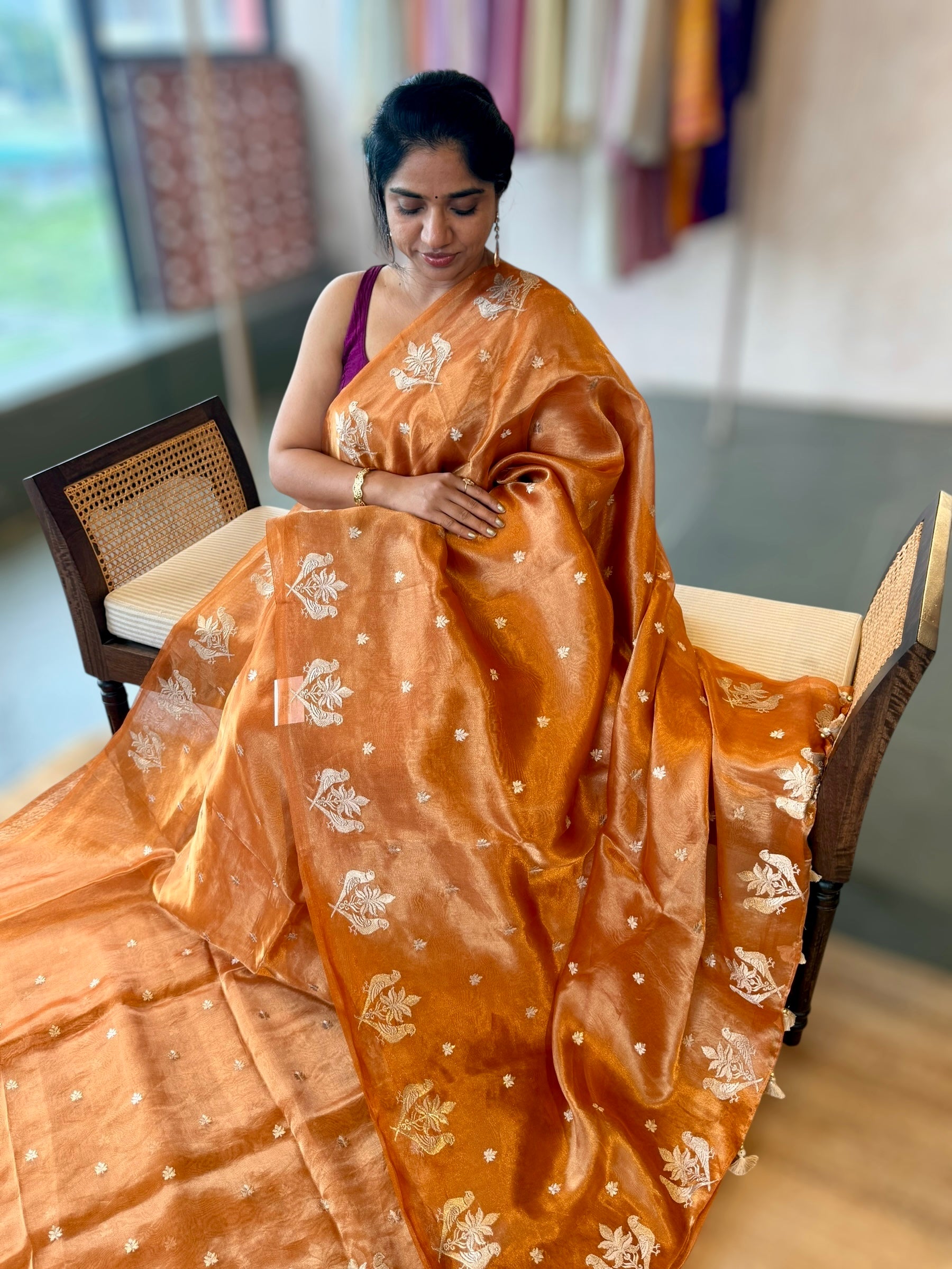 Orange Handloom Tissue Saree With Bird Embroidered Border & Stripes Tissue BP