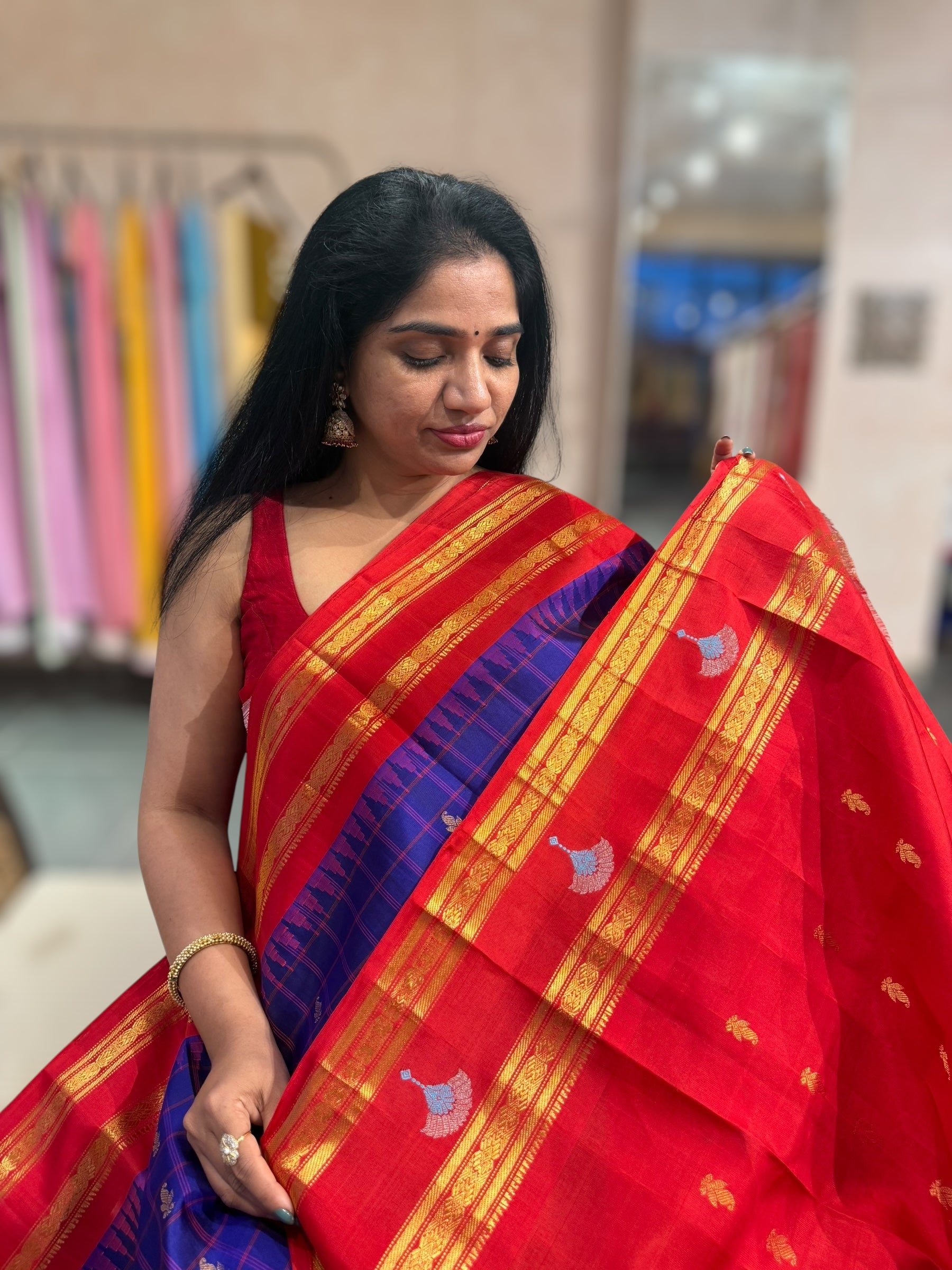 Gadwal Handloom Pure Silk Saree with Gap Borders & motifs in gap border