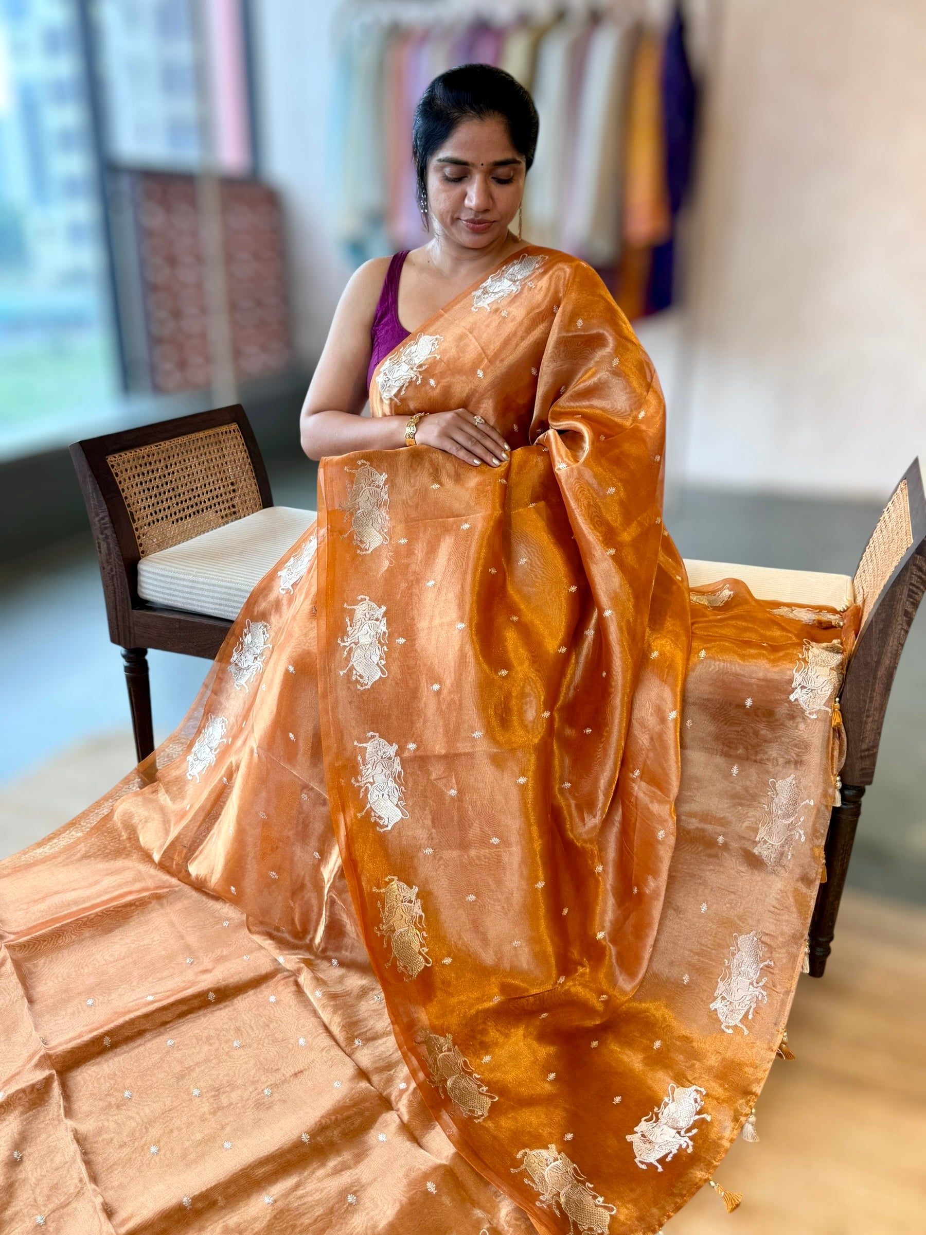 Orange Handloom Tissue Saree with Nandi Embroidered Border & Stripes Tissue BP
