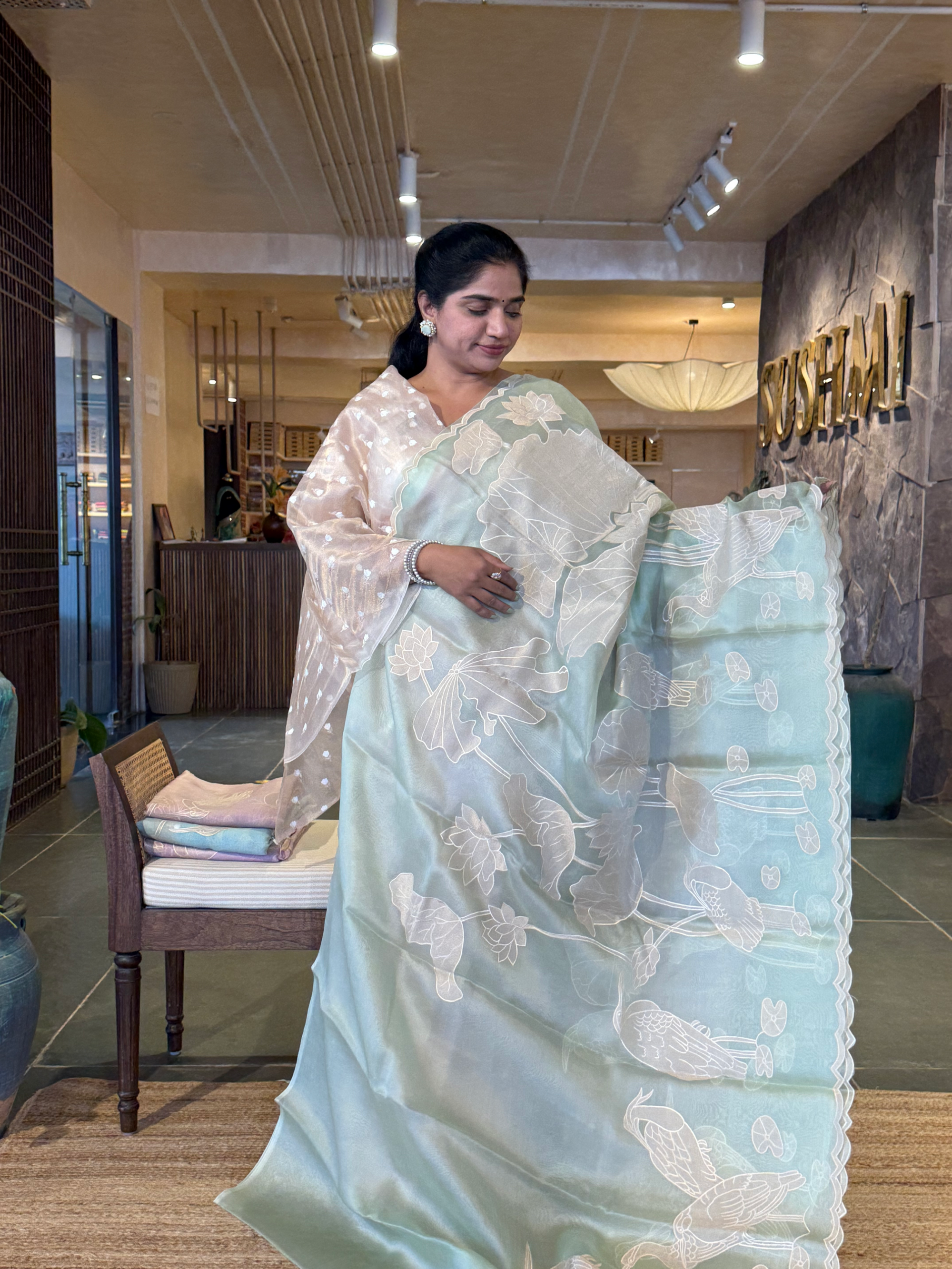 Mint Green Pure Organza Designer Saree with Allover Tissue Applique Embroidery