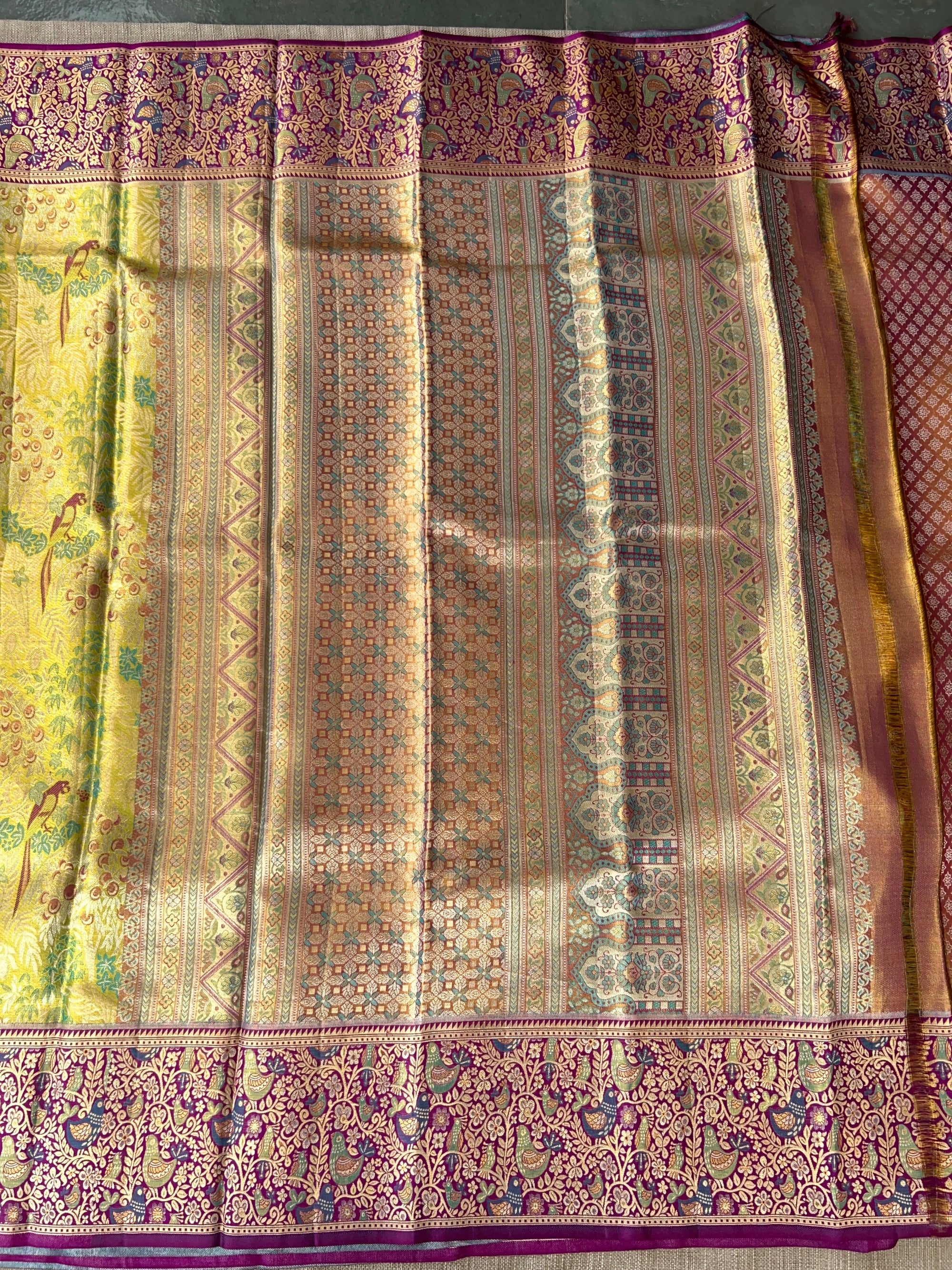 Kanchi Tissue Meenakari Saree
