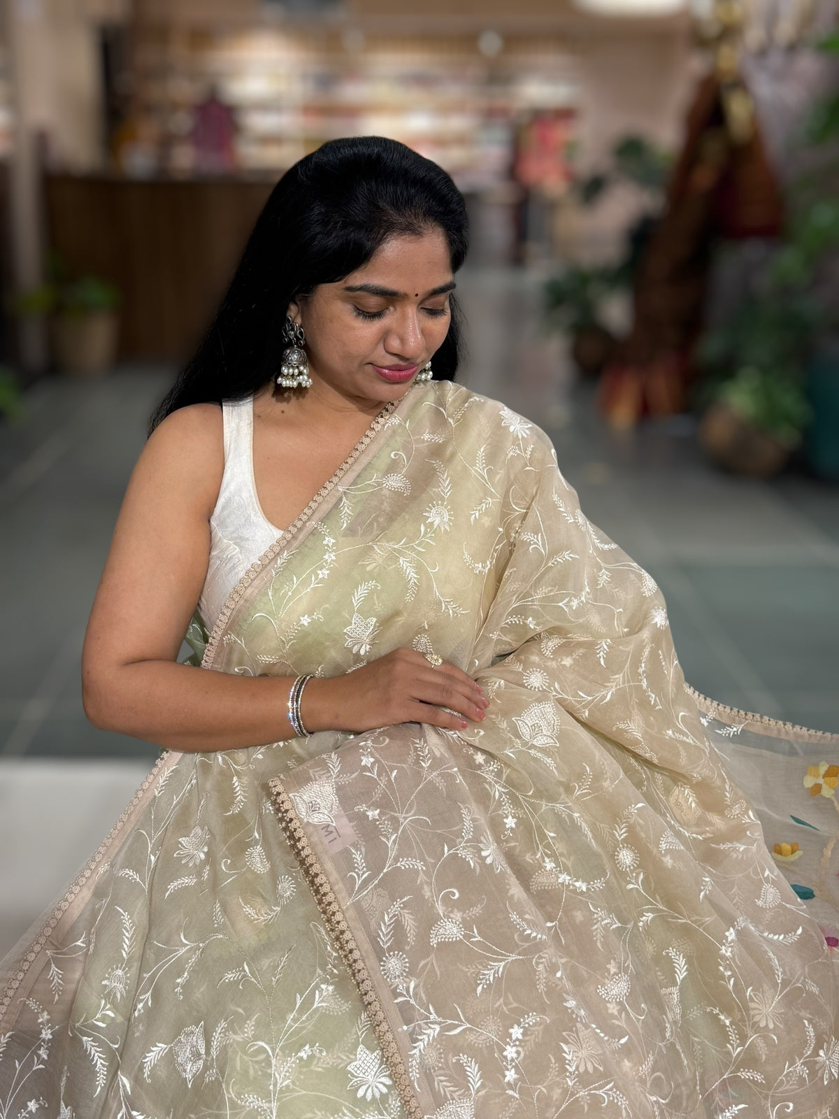 Beige Pure Handloom Muslin Saree with Allover chikankari & Jamdnai Pallus